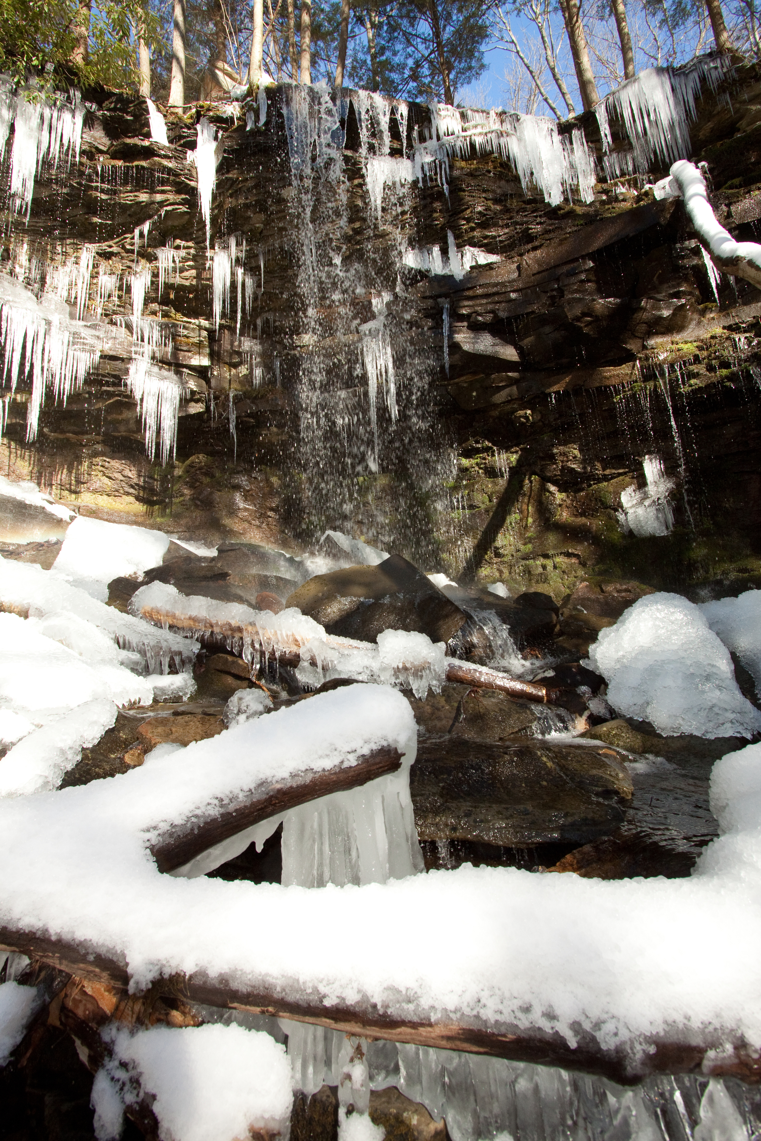 jf_12282013_0119.jpg