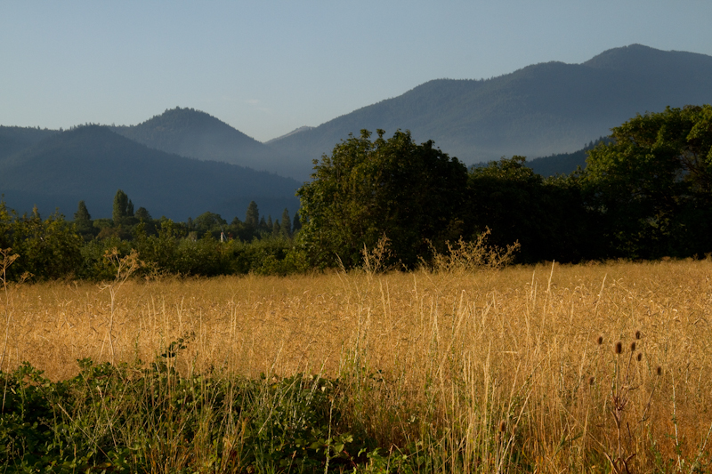 rt_a_082014_0330.jpg