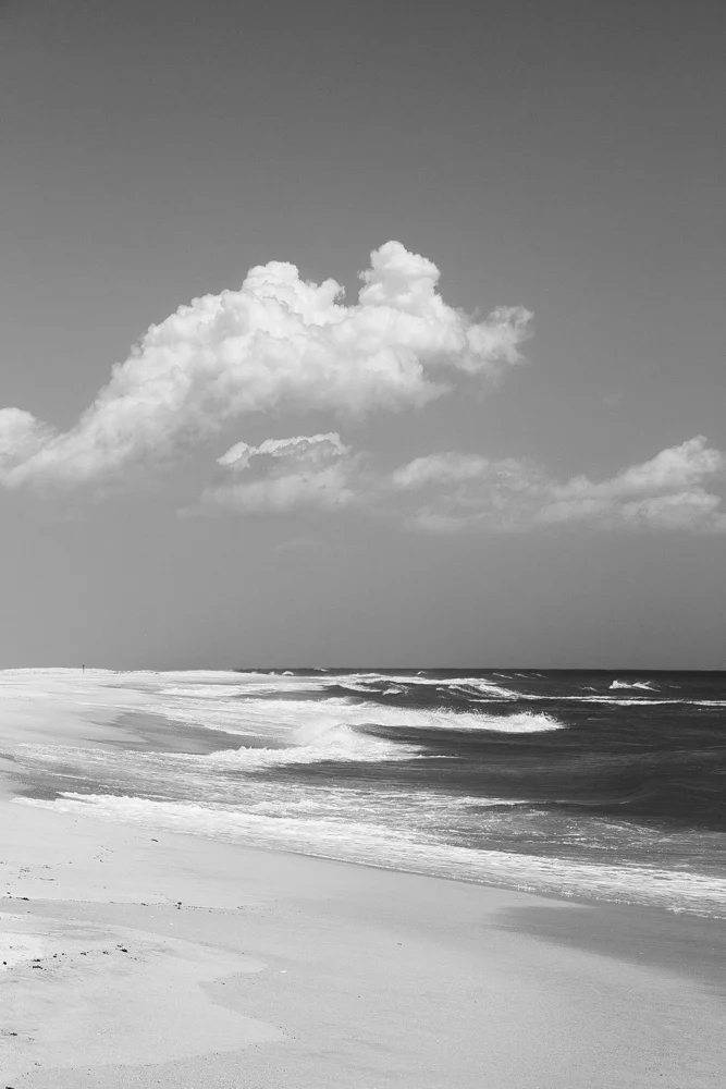 nc_201506_-313.jpg