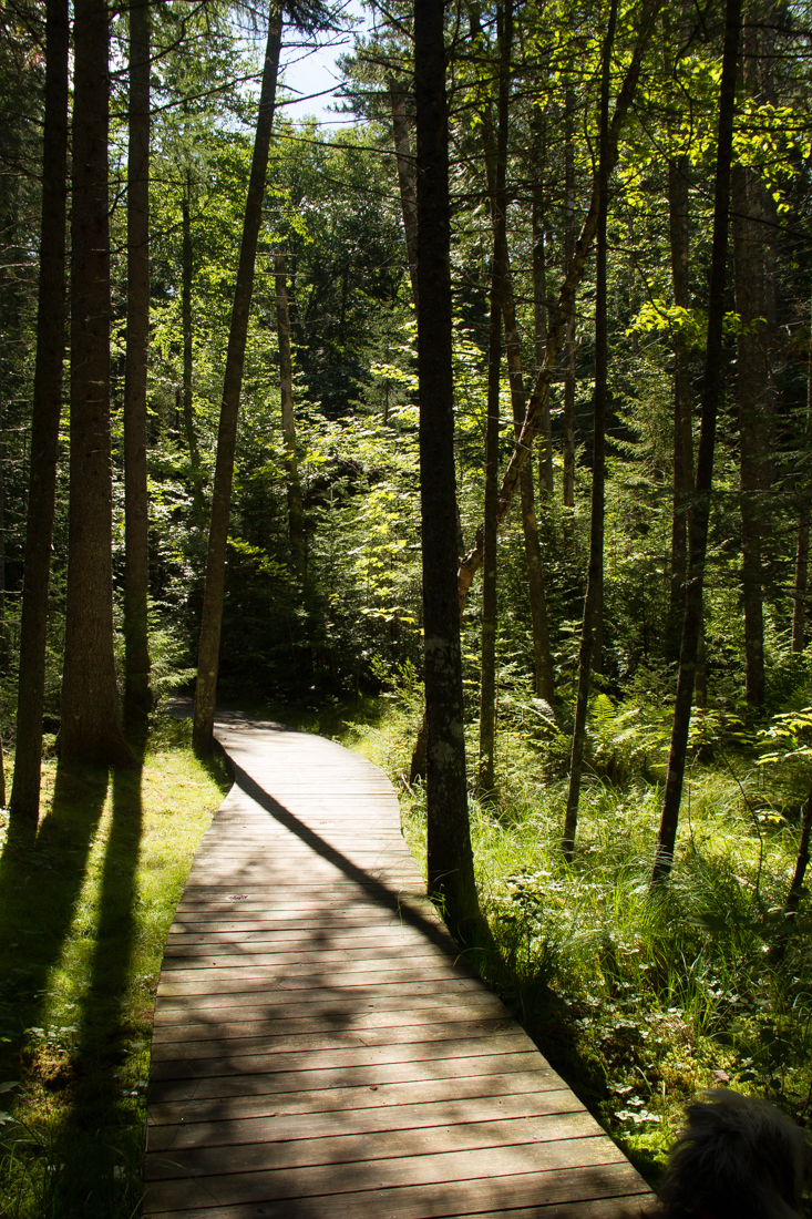 adk_201508_00266.jpg