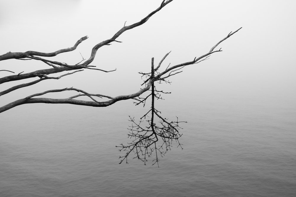 DSCF6436.jpg