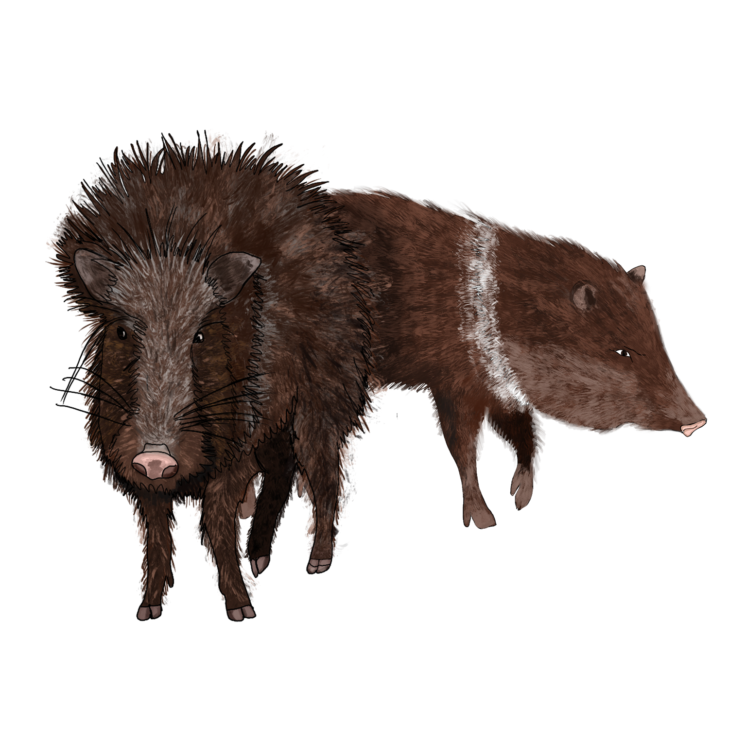 2024_ACEER_icon_map_Hunting.png