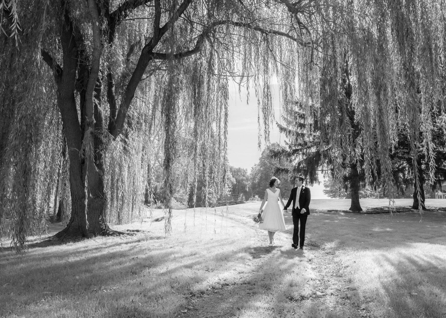 Stephanie and Todd's Wedding