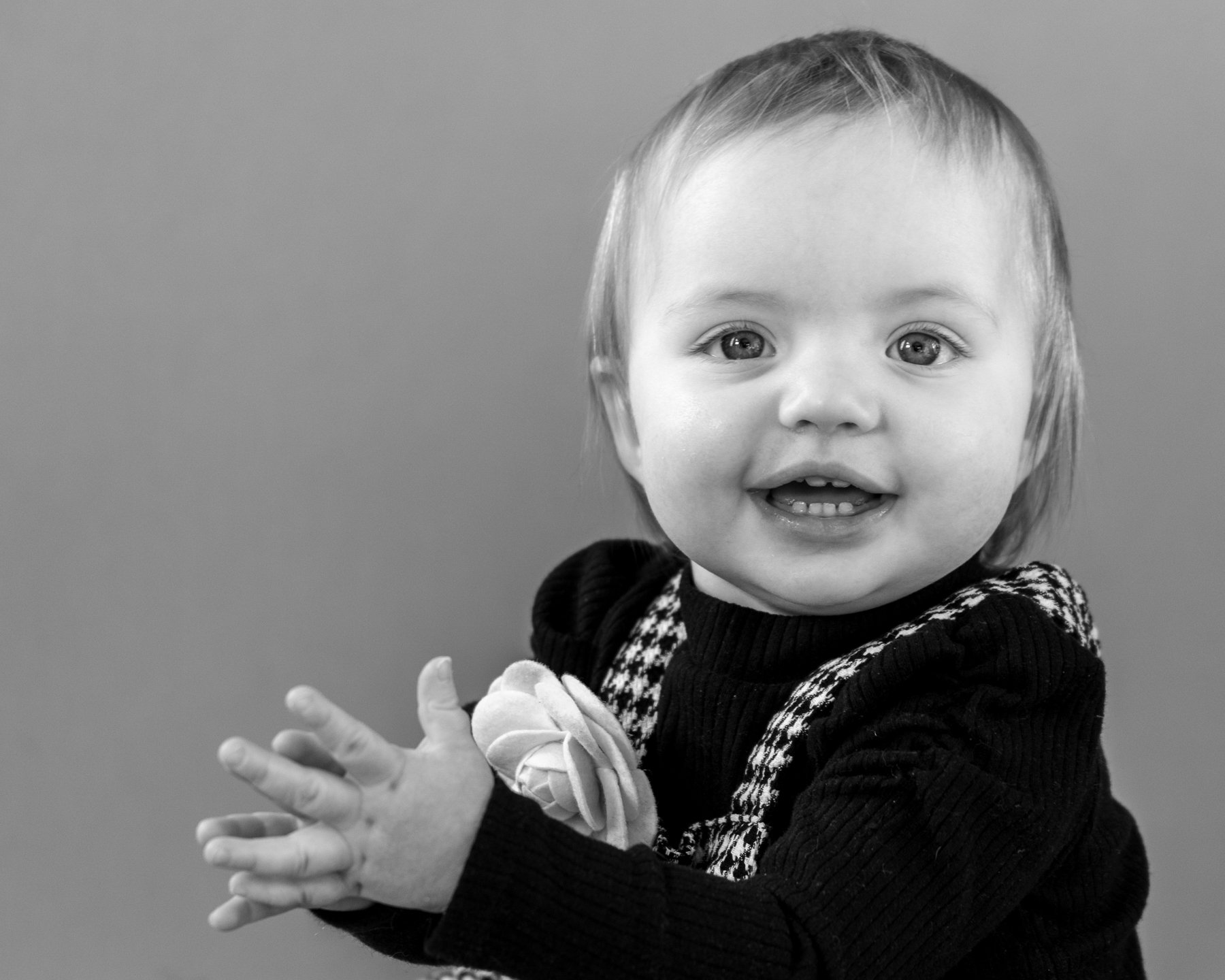 camellia_family_portait_2024_11.jpg