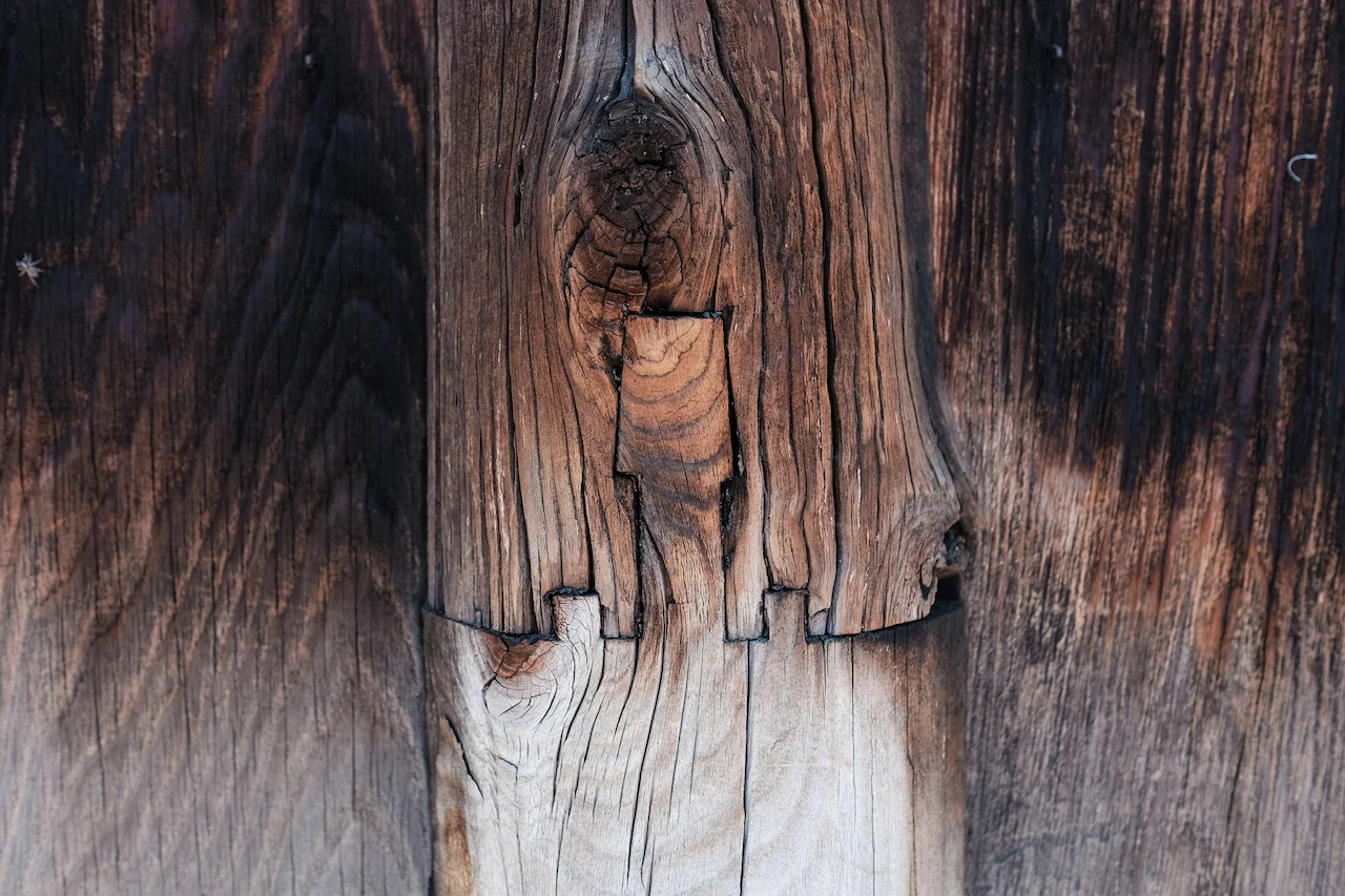 DSCF9700.jpg