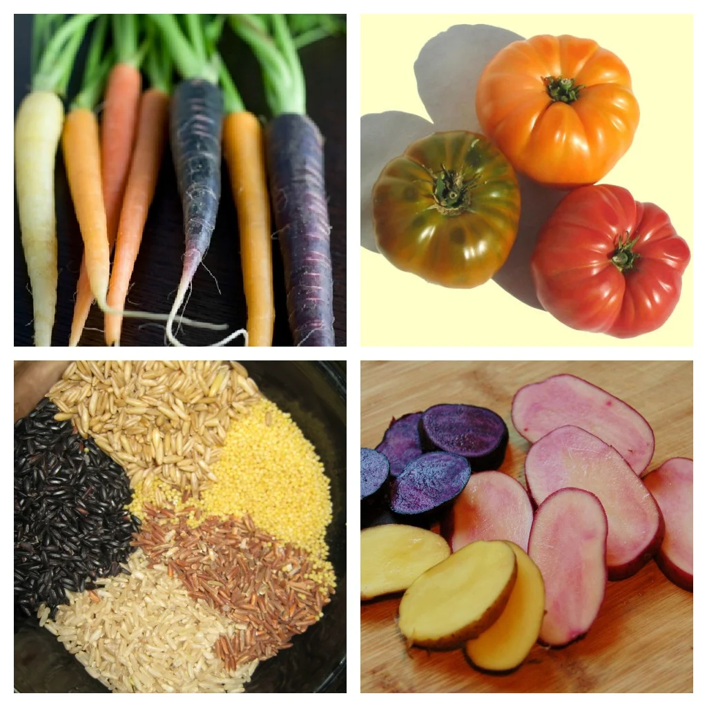 Heirloom Collage.jpg