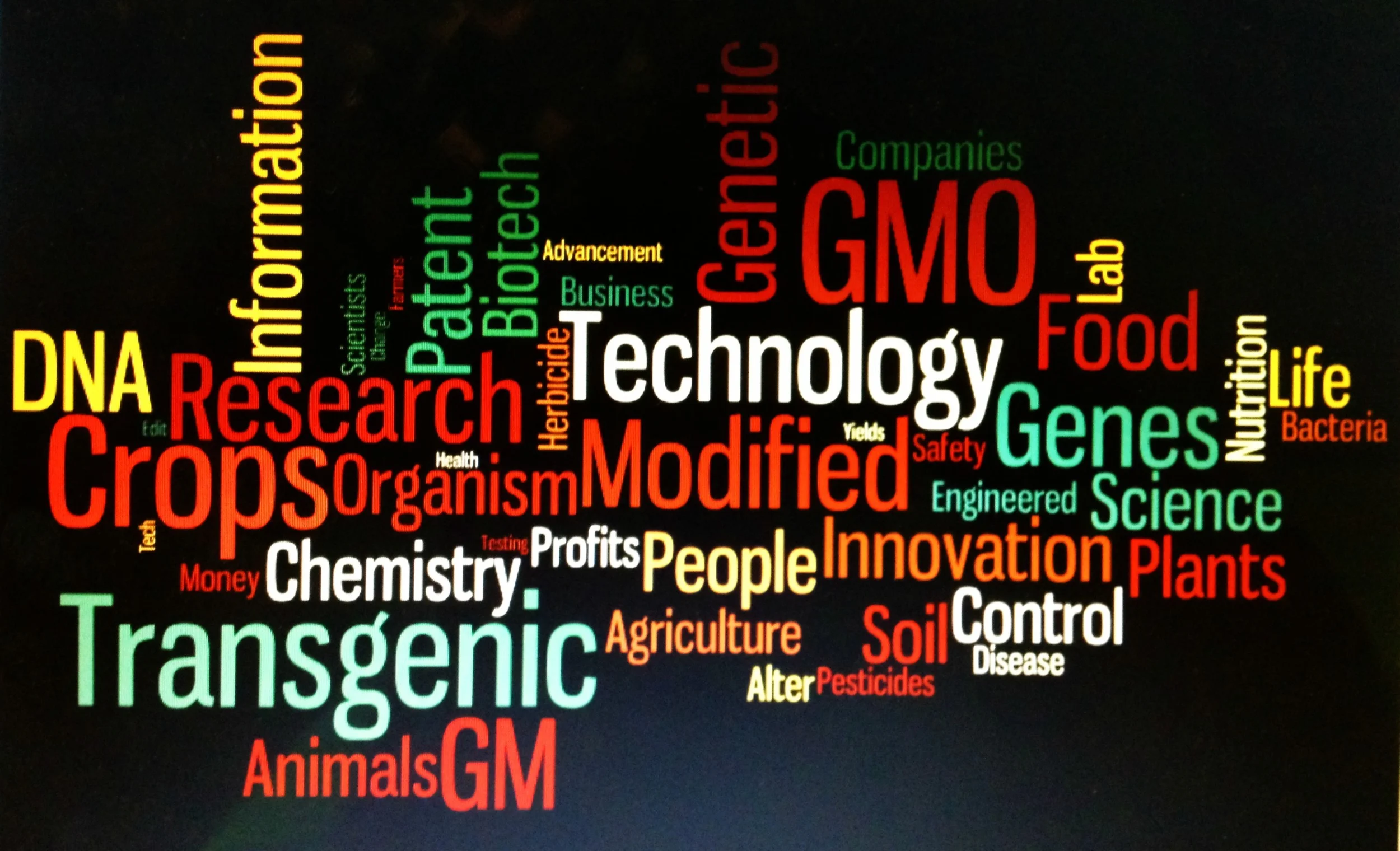 GMOwordcloud.jpg