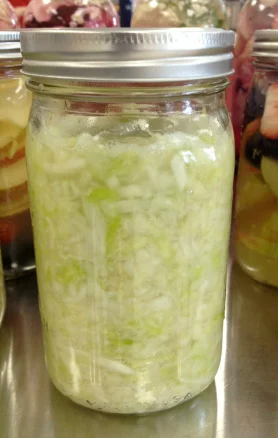 Saurkraut.jpg