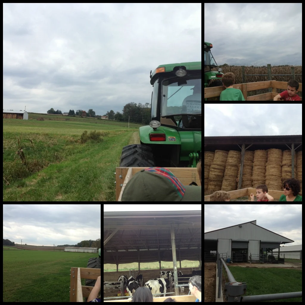 Tractor Collage.jpg