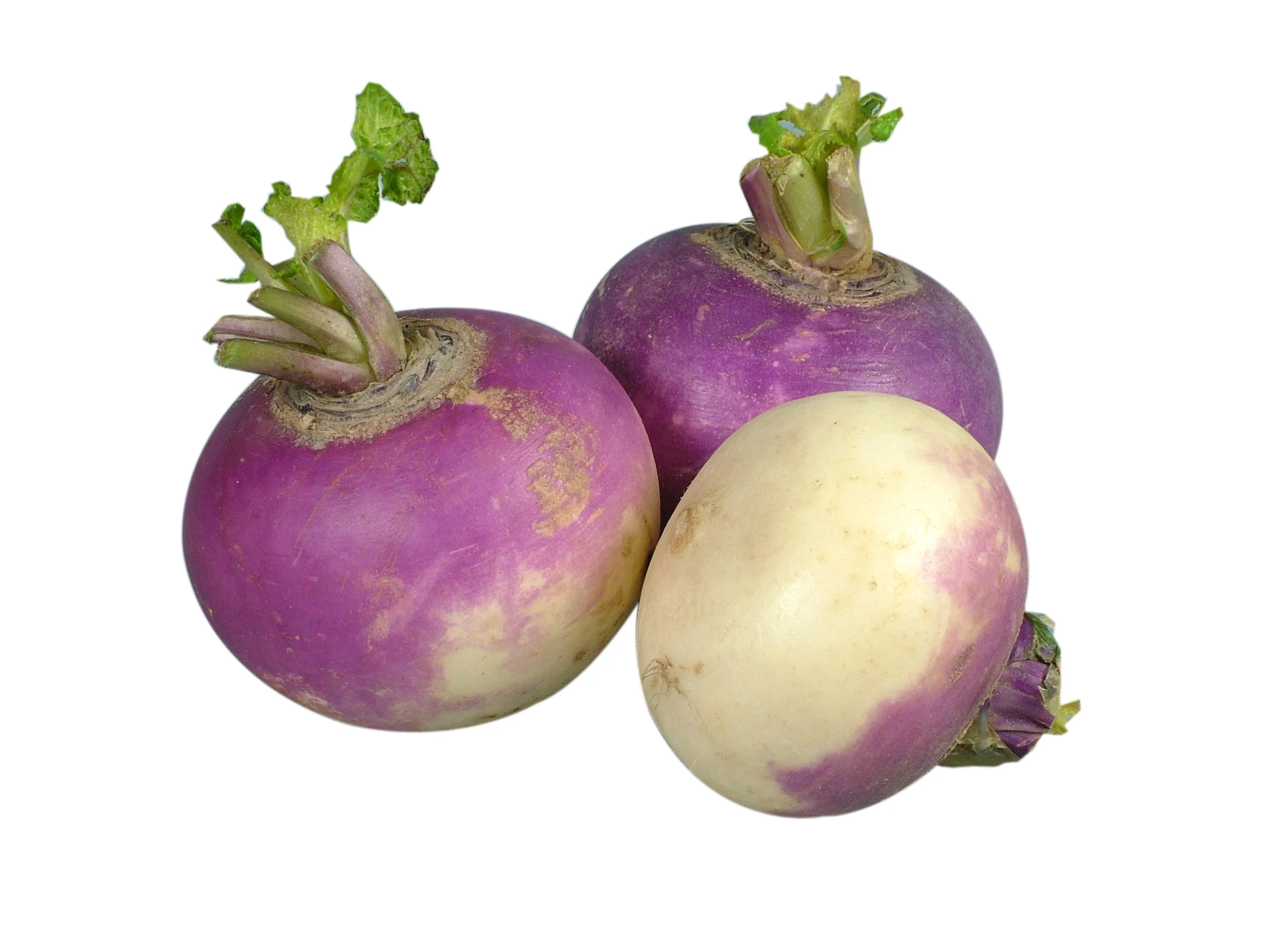 turnip.jpg