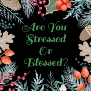 Stressed or Blessed. Nov. '17.jpeg