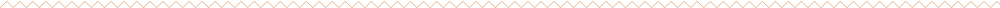 squiggle-line.png