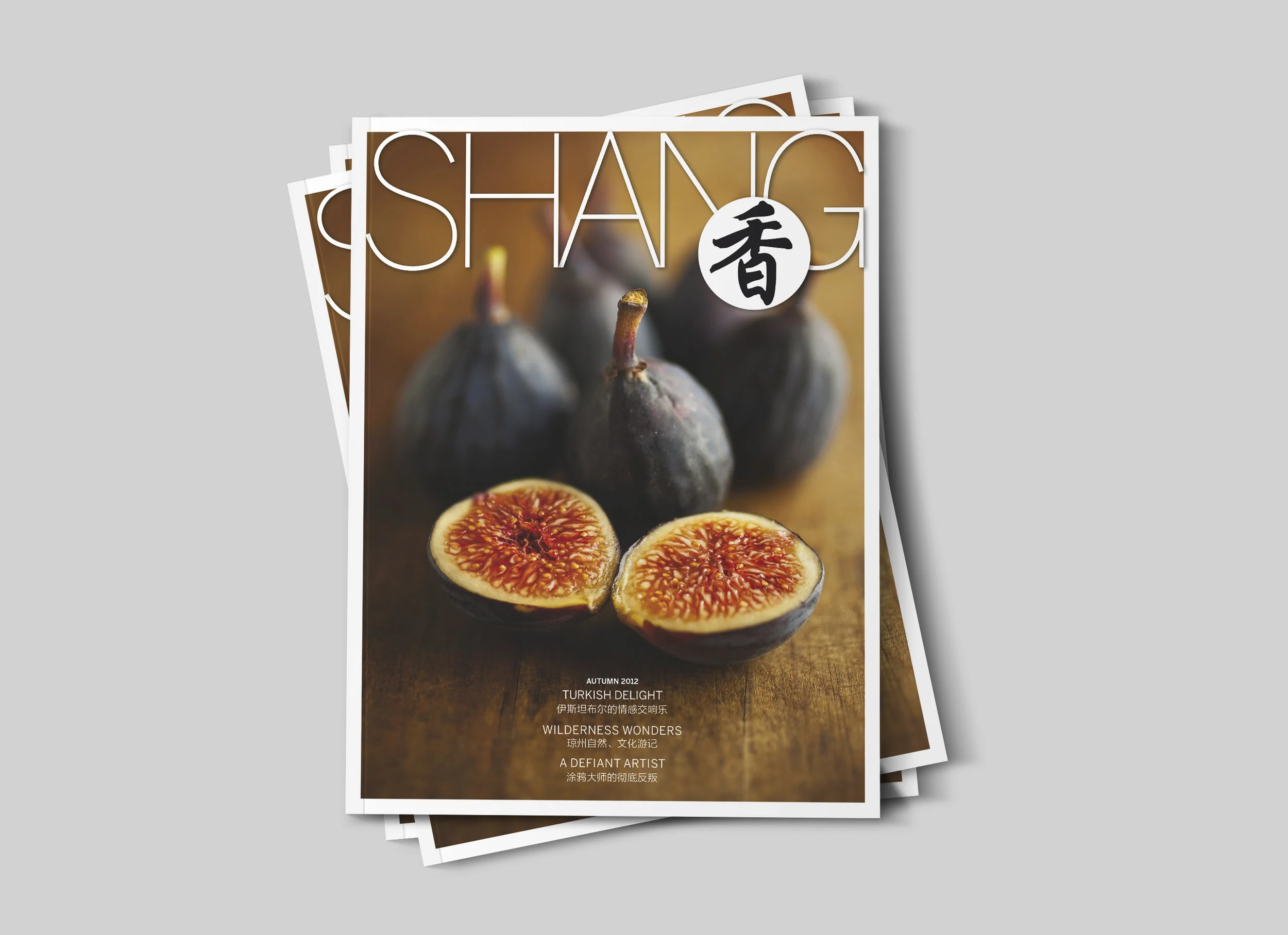 1141 shang_cover stack_enlarged.jpg