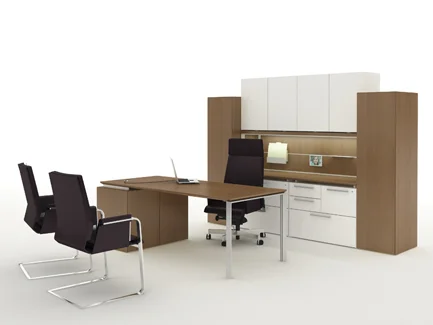 Private office with Fluent desks and storage, Interstuhl Axos highback desk seating, Interstuhl Axos guest seating