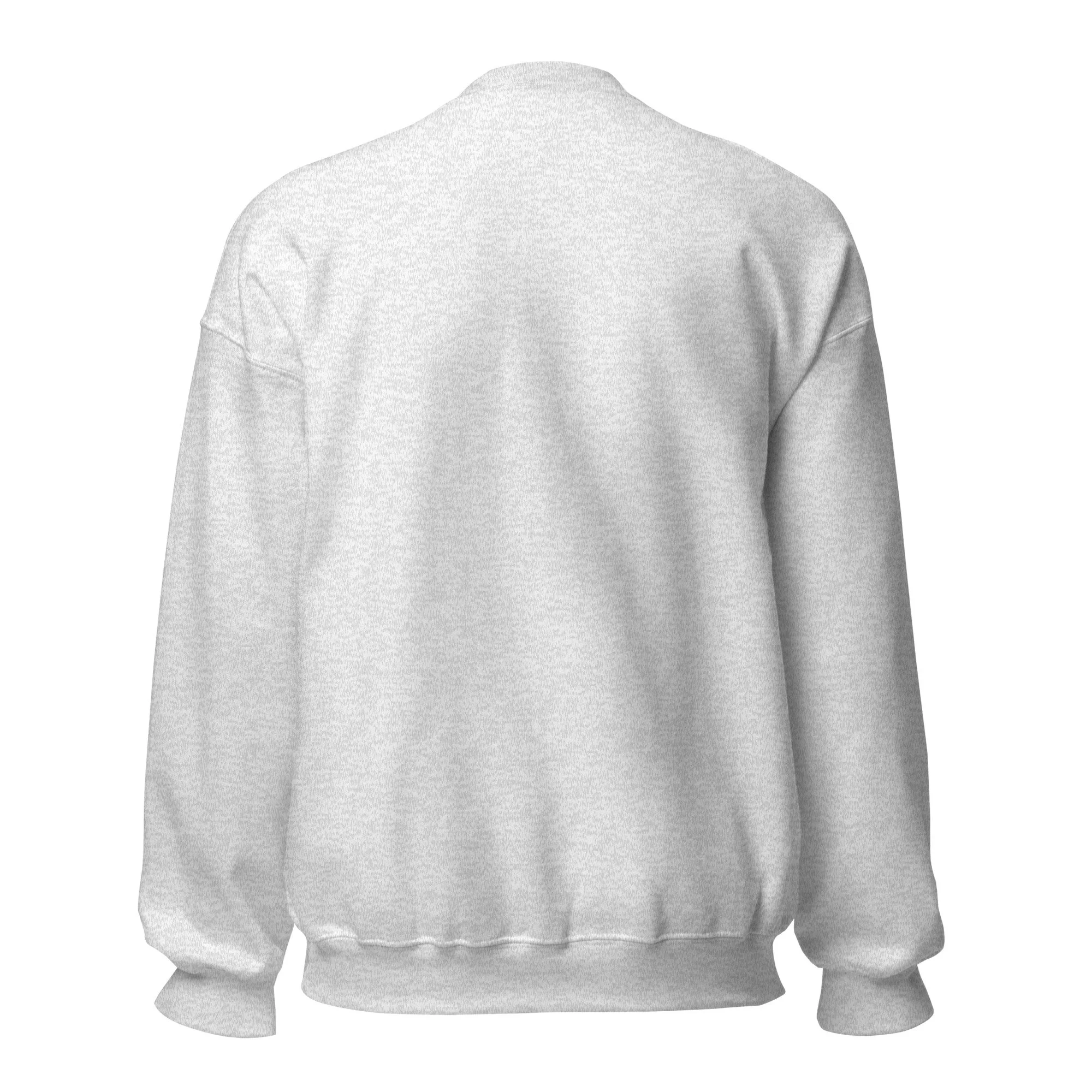 unisex-crew-neck-sweatshirt-ash-back-69260bf75c801.jpg