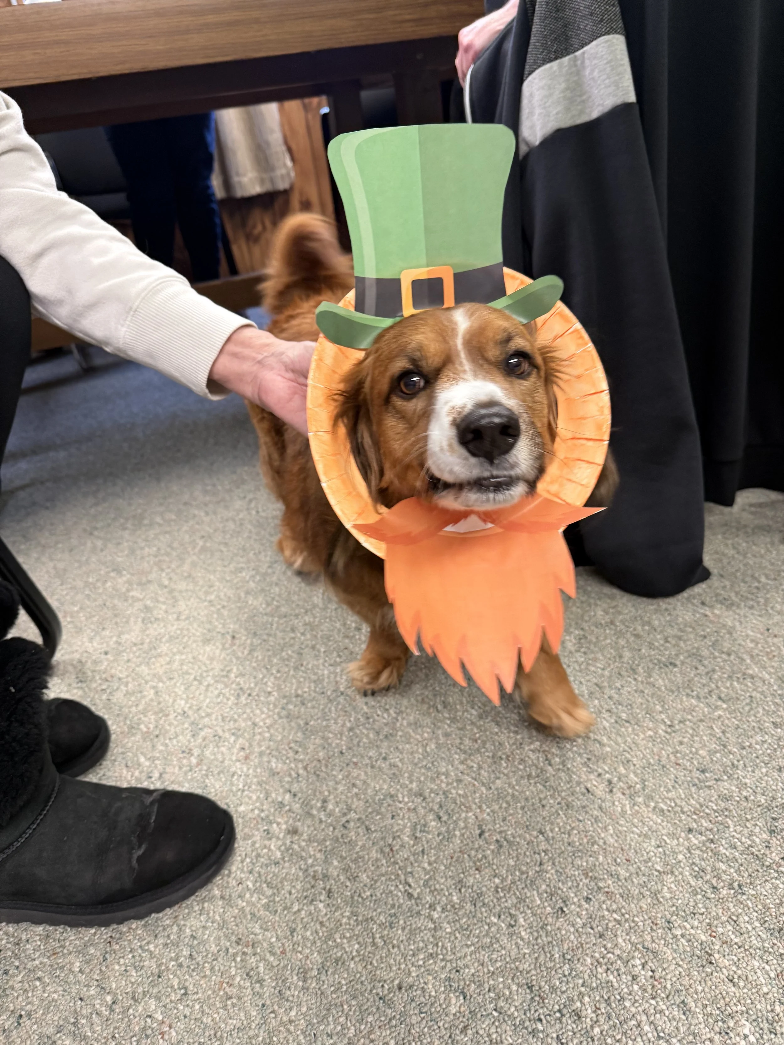 scooby.jpeg