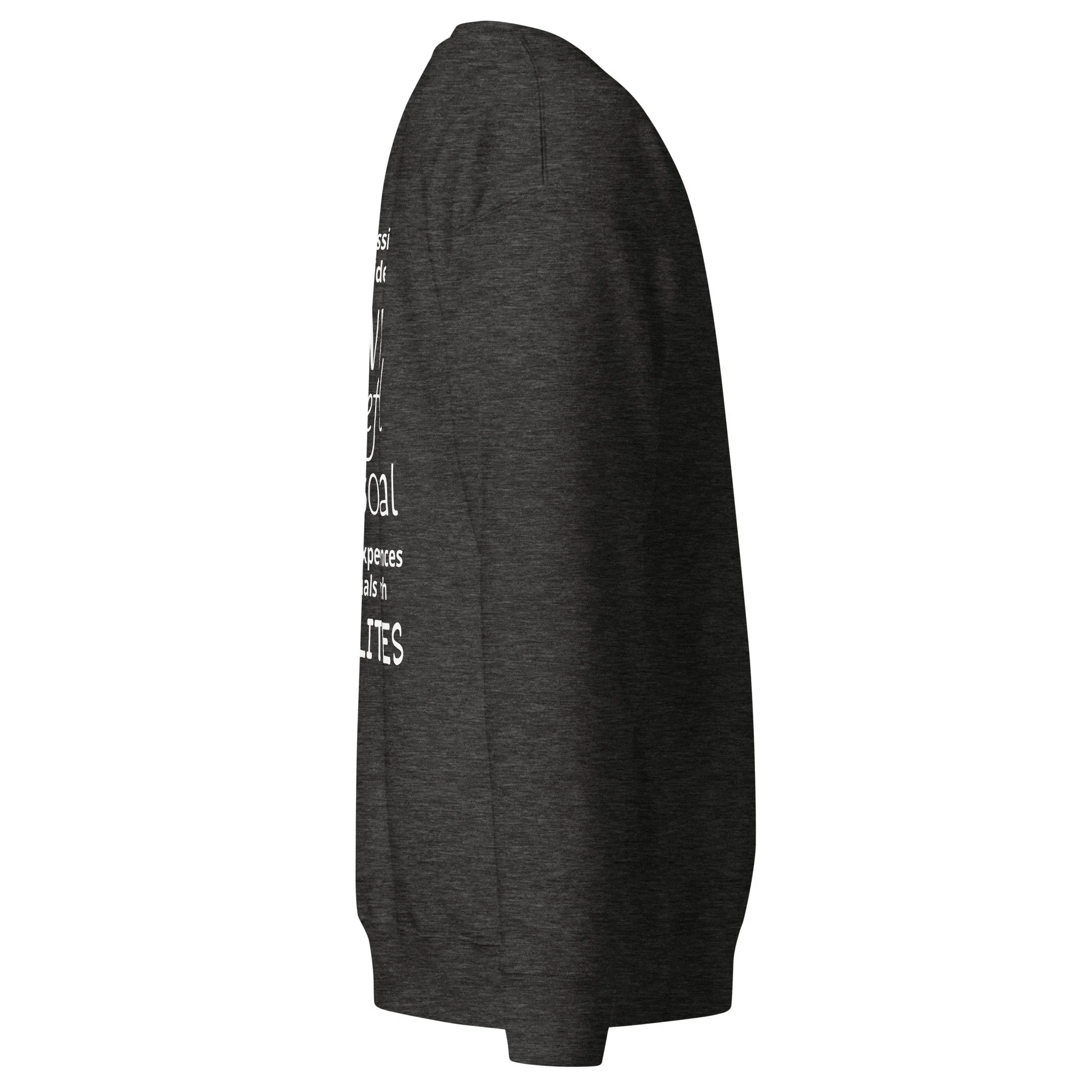 unisex-premium-sweatshirt-charcoal-heather-right-6aa823aacc7e0.jpg