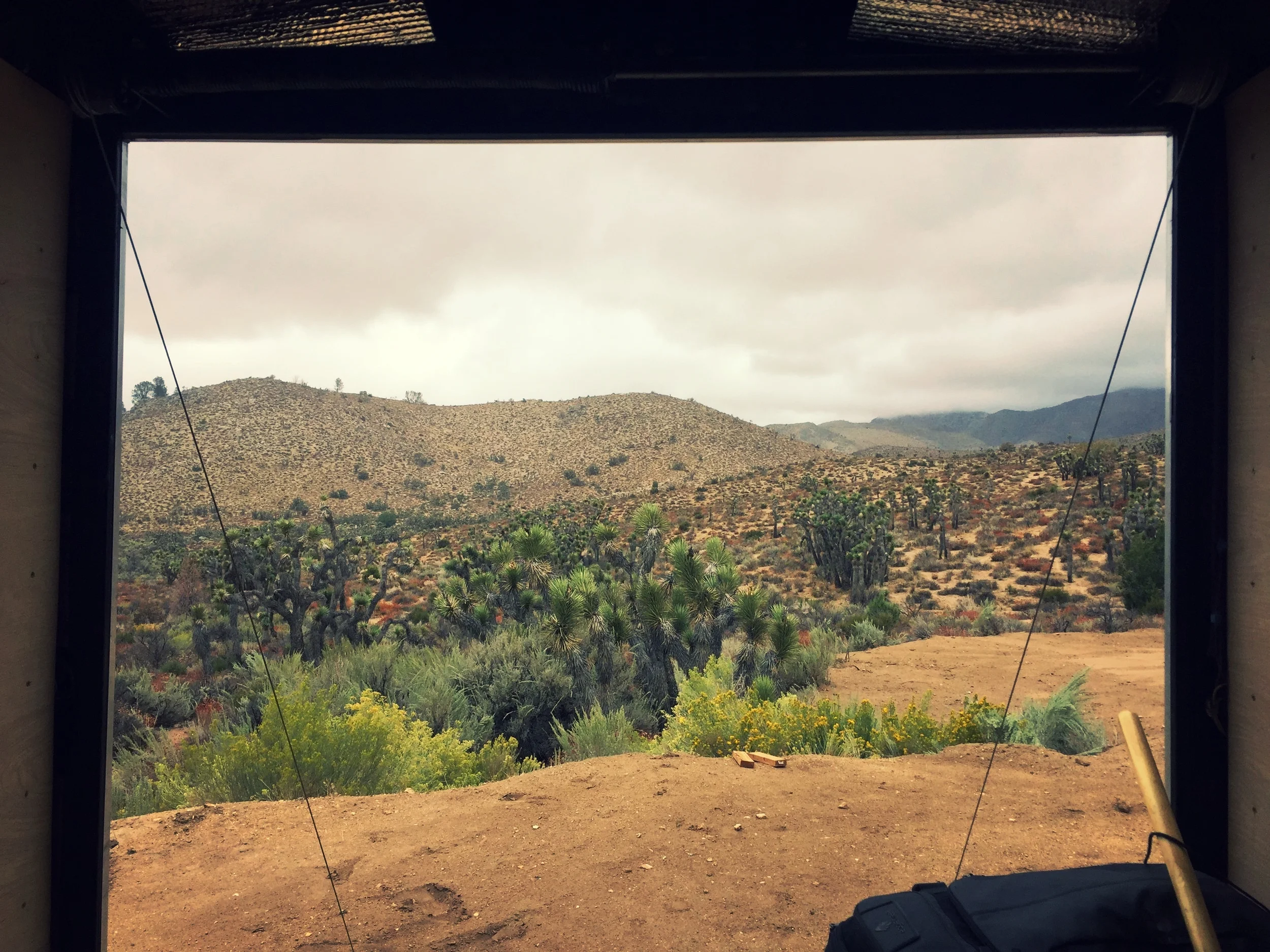 The view out the back door