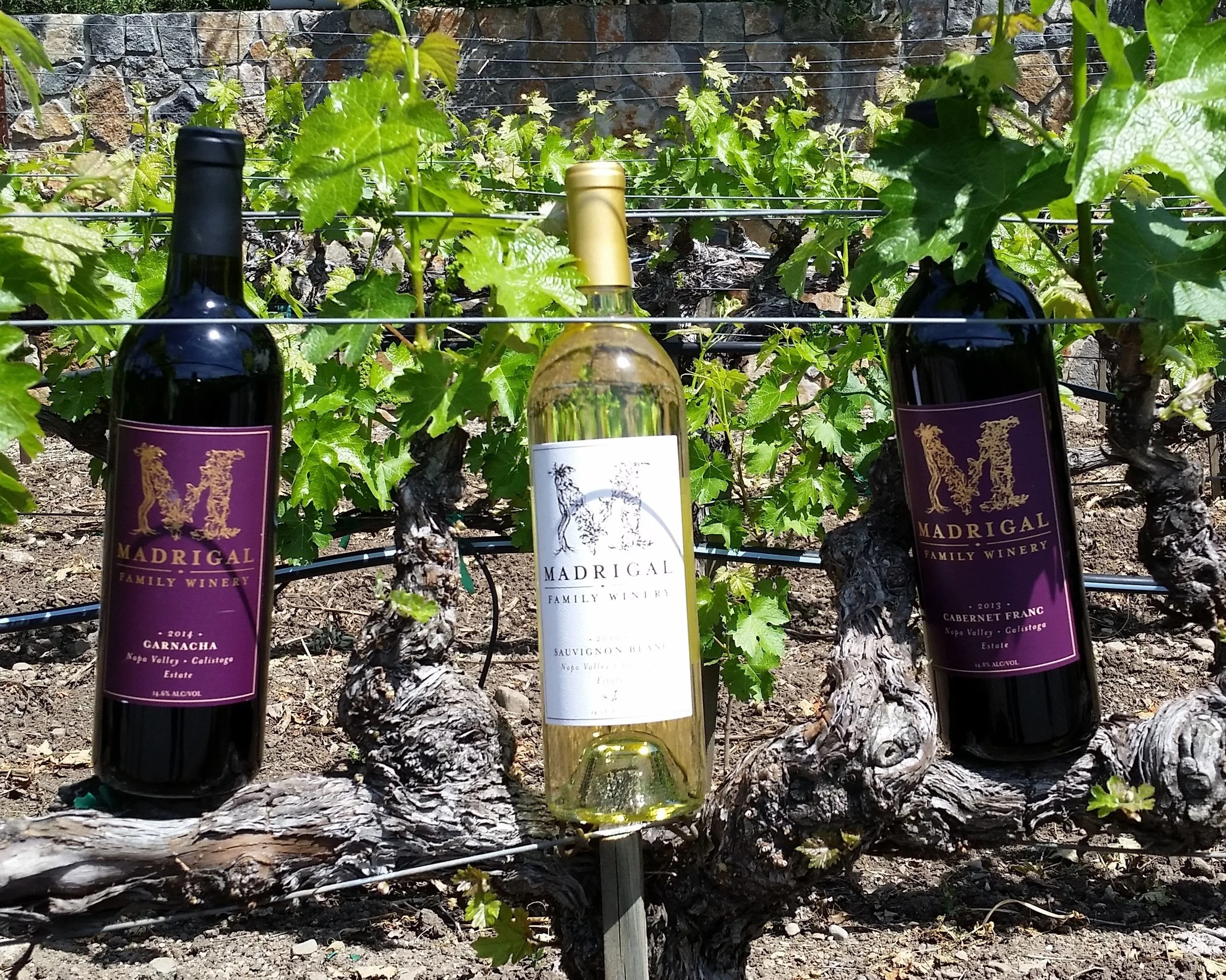 Heritage Celebration 3-pack