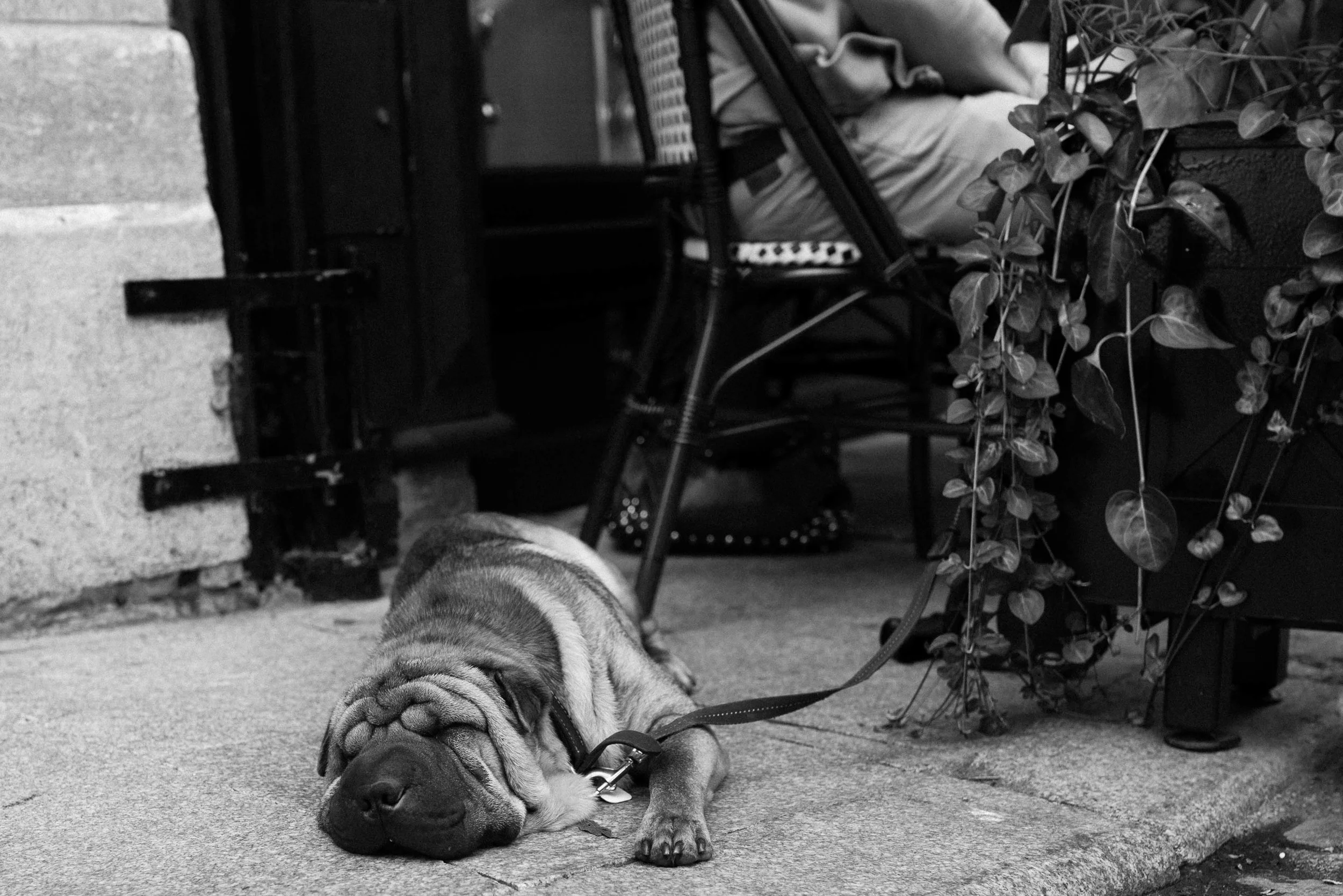  2013  Quebec, Canada 