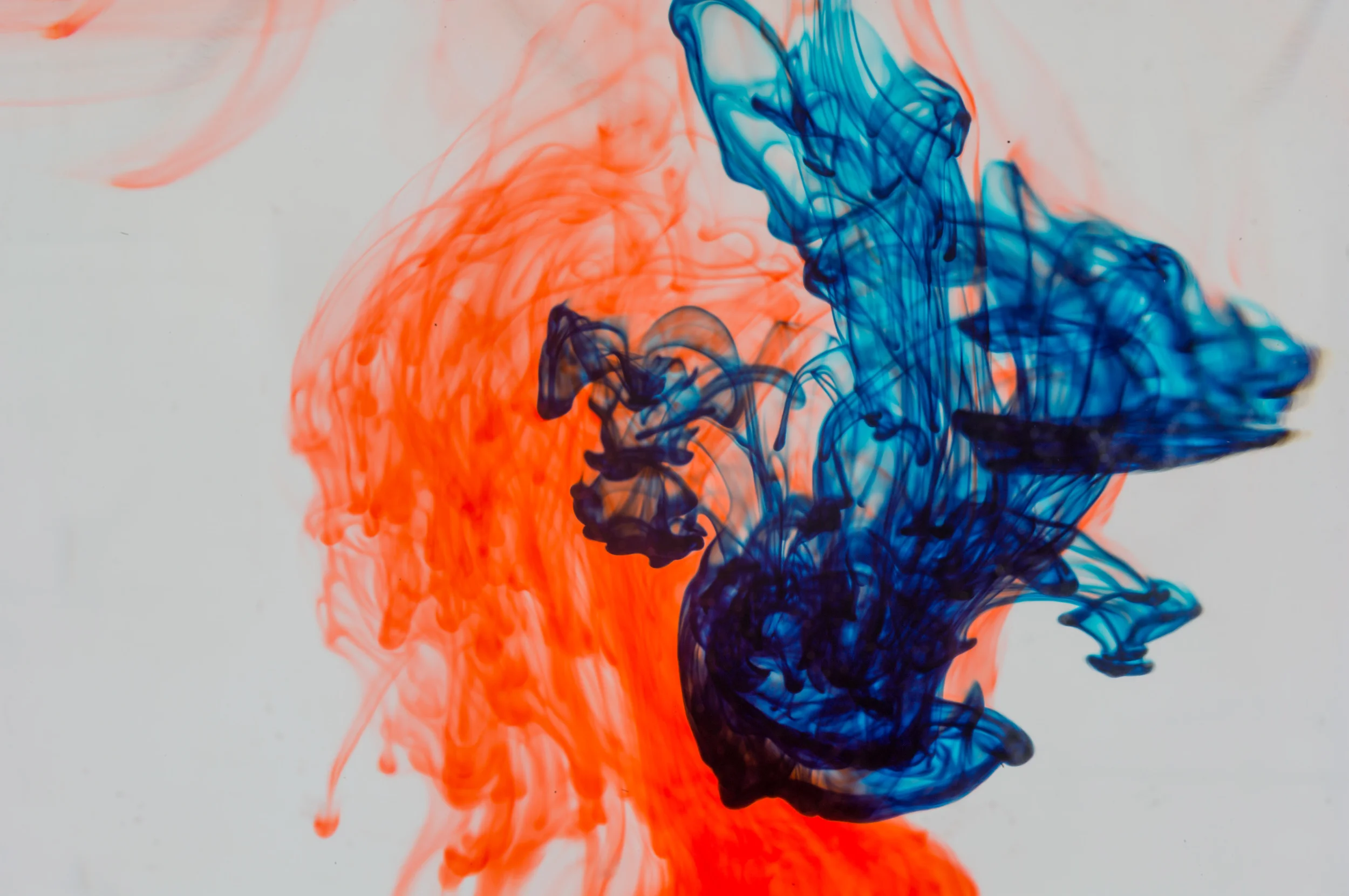 Food coloring in water