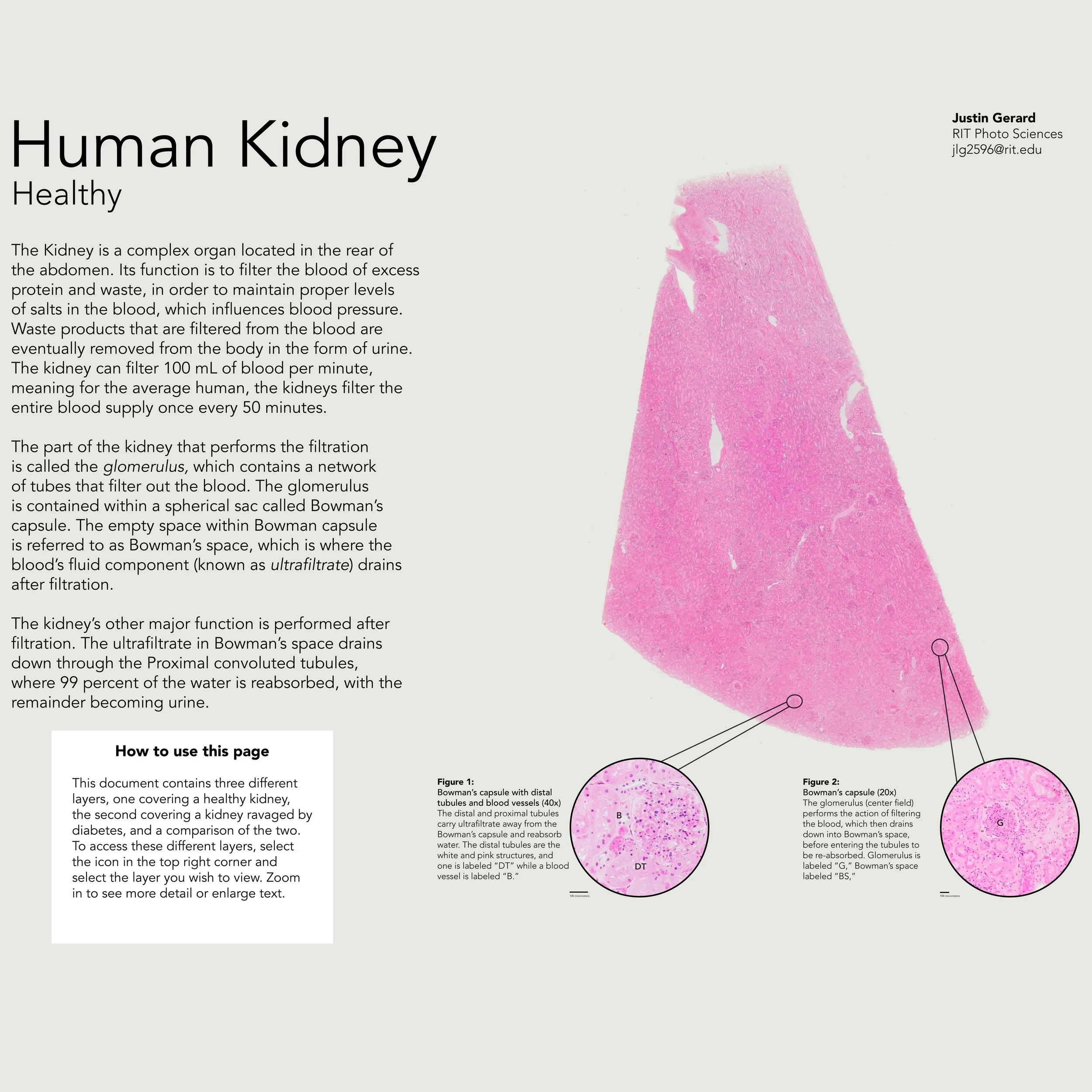  Poster layout, created for Scientific Photography II  2015 