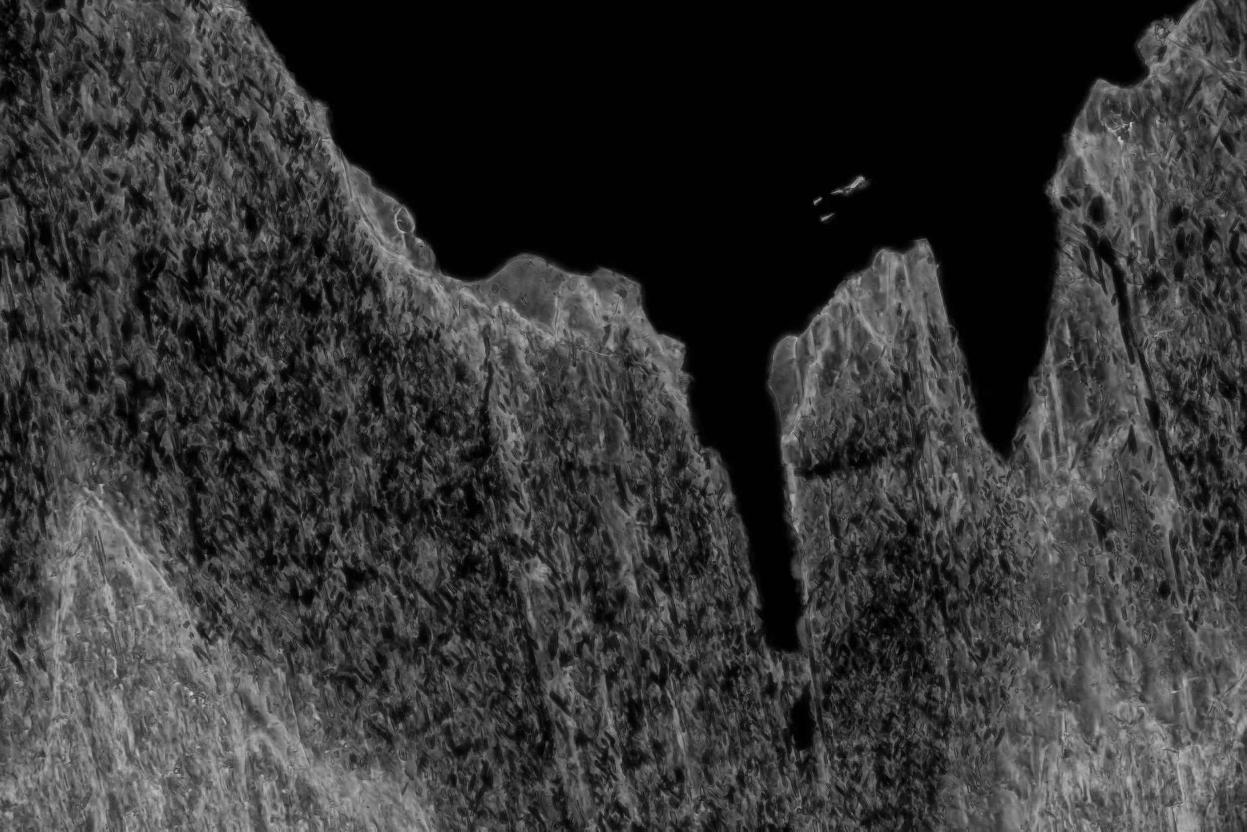Enstatite, 20x, phase contrast