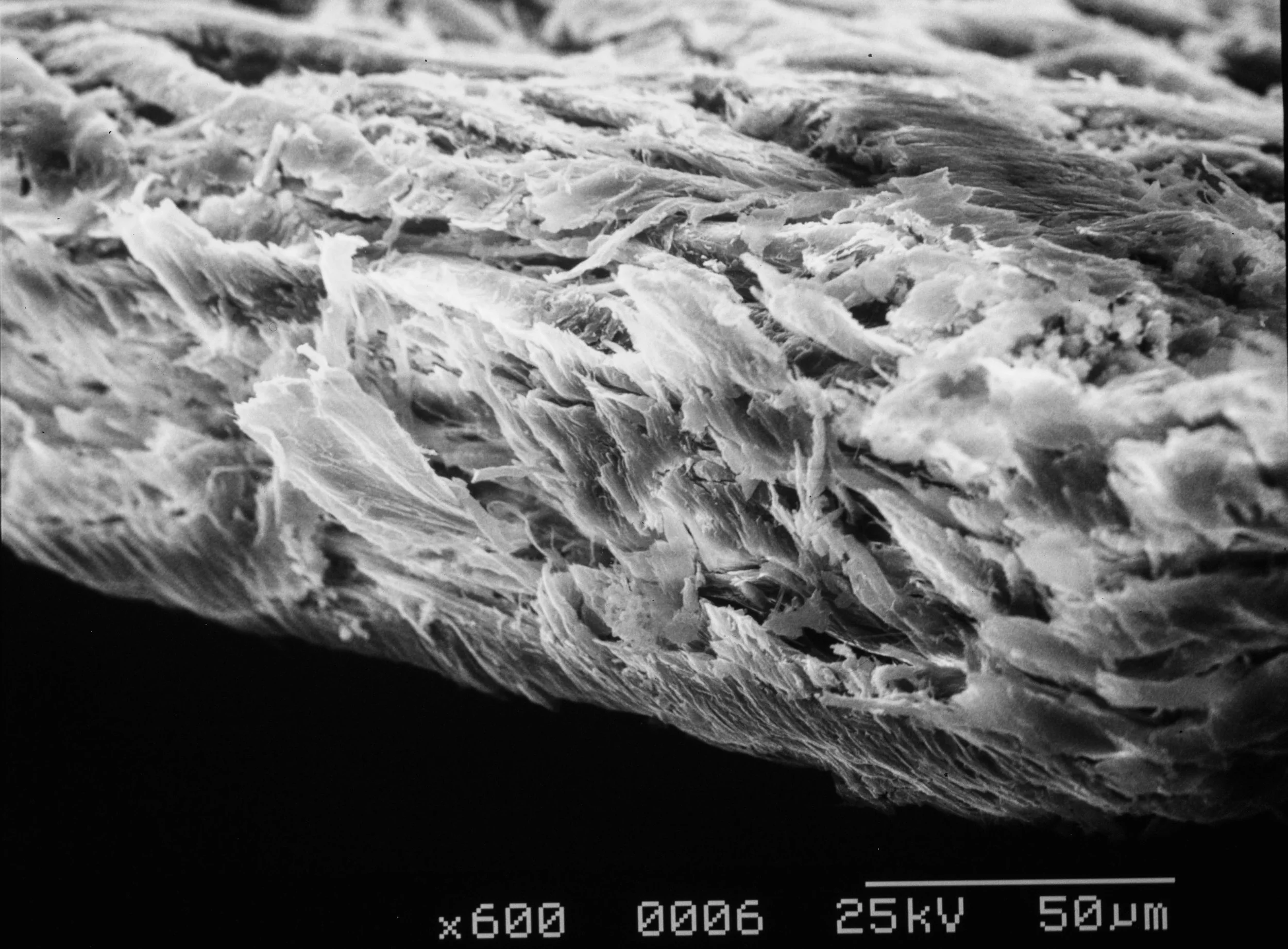 1500'S PAPER, 600x, SEM