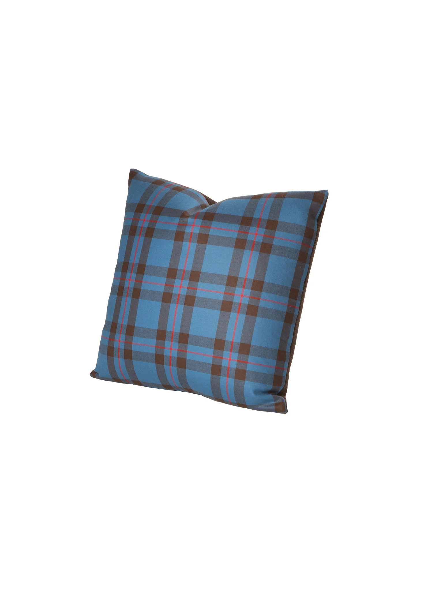 ECPILLOW0102 copy.jpg