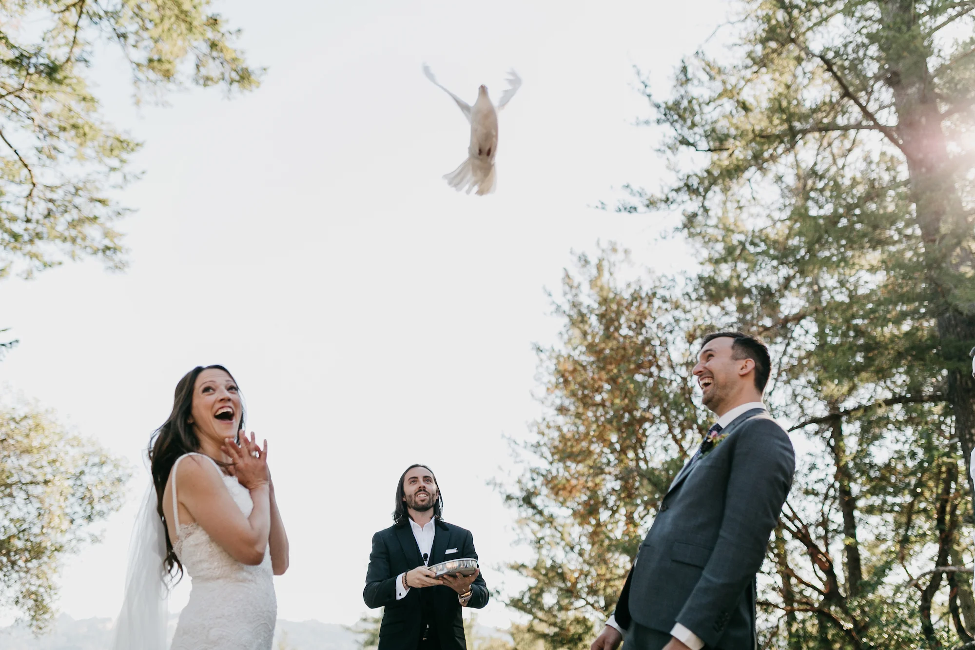 anvil-vineyards-wedding-photographer446.jpg