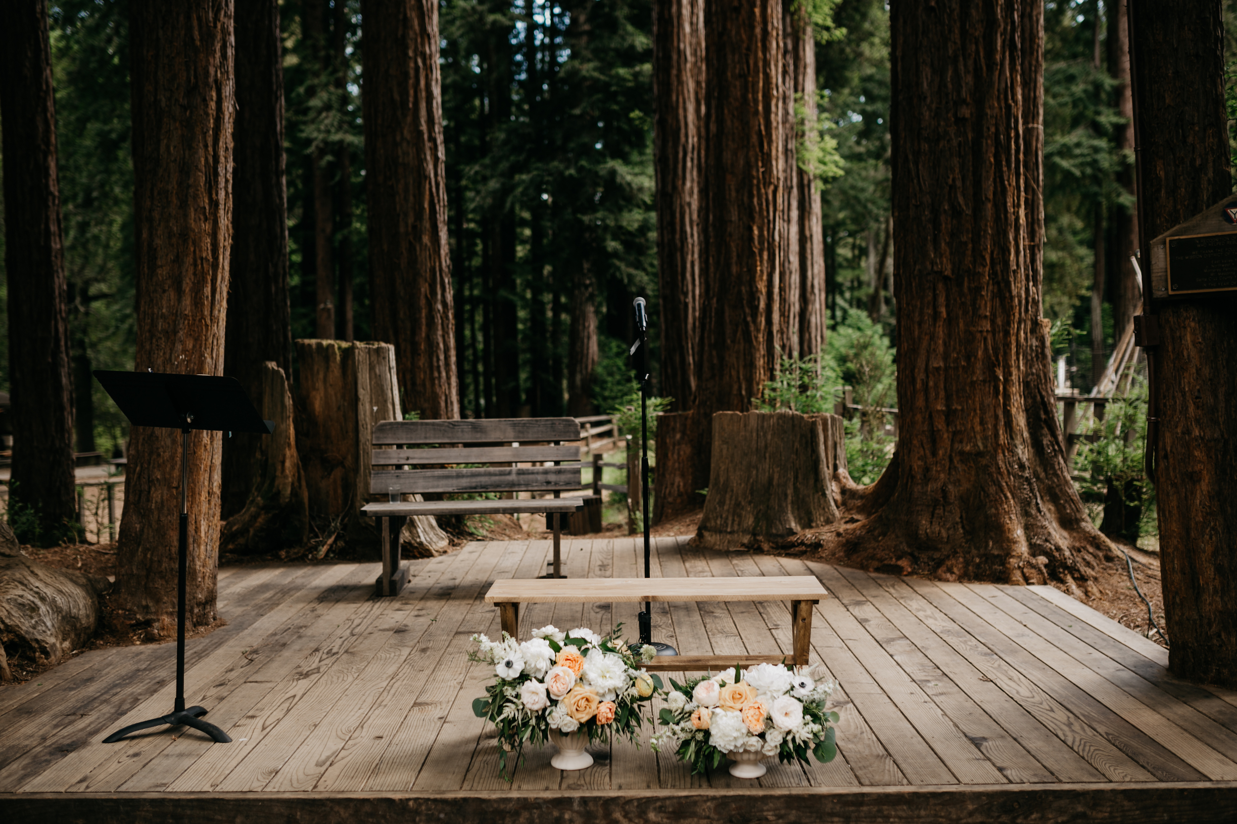 redwoods-wedding-photographer354.jpg