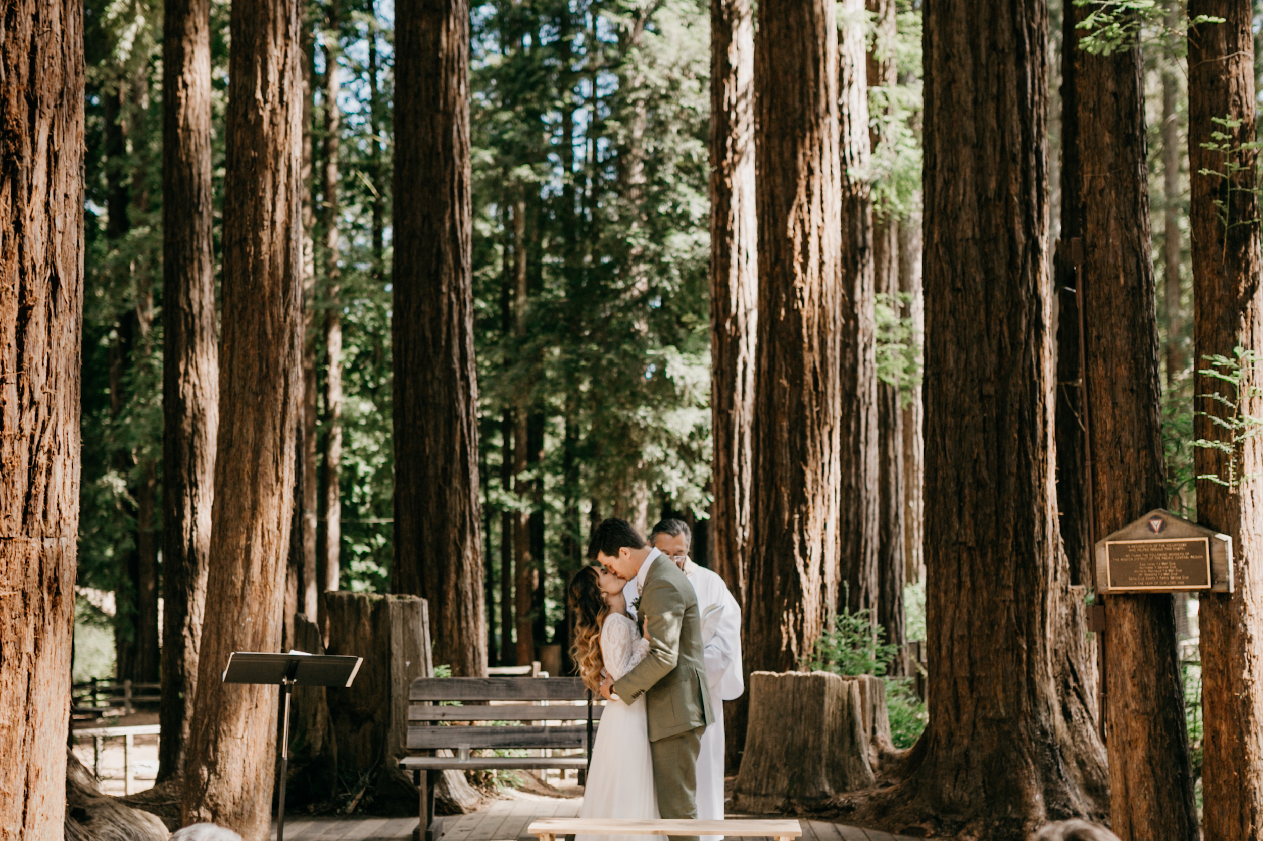 redwoods-wedding-photographer469.jpg