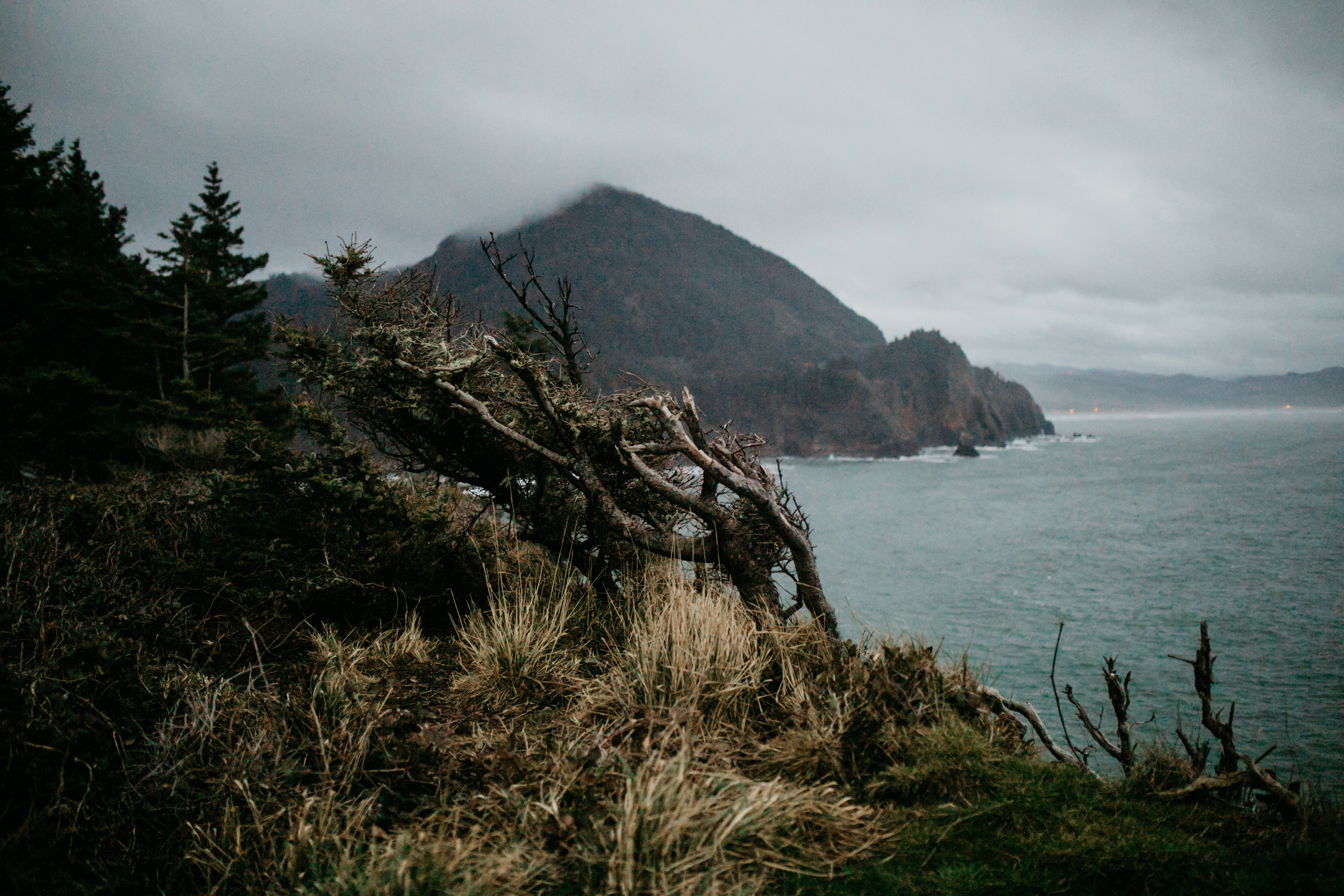 oswald-state-park-oregon-coast-engagement-photographer240.jpg