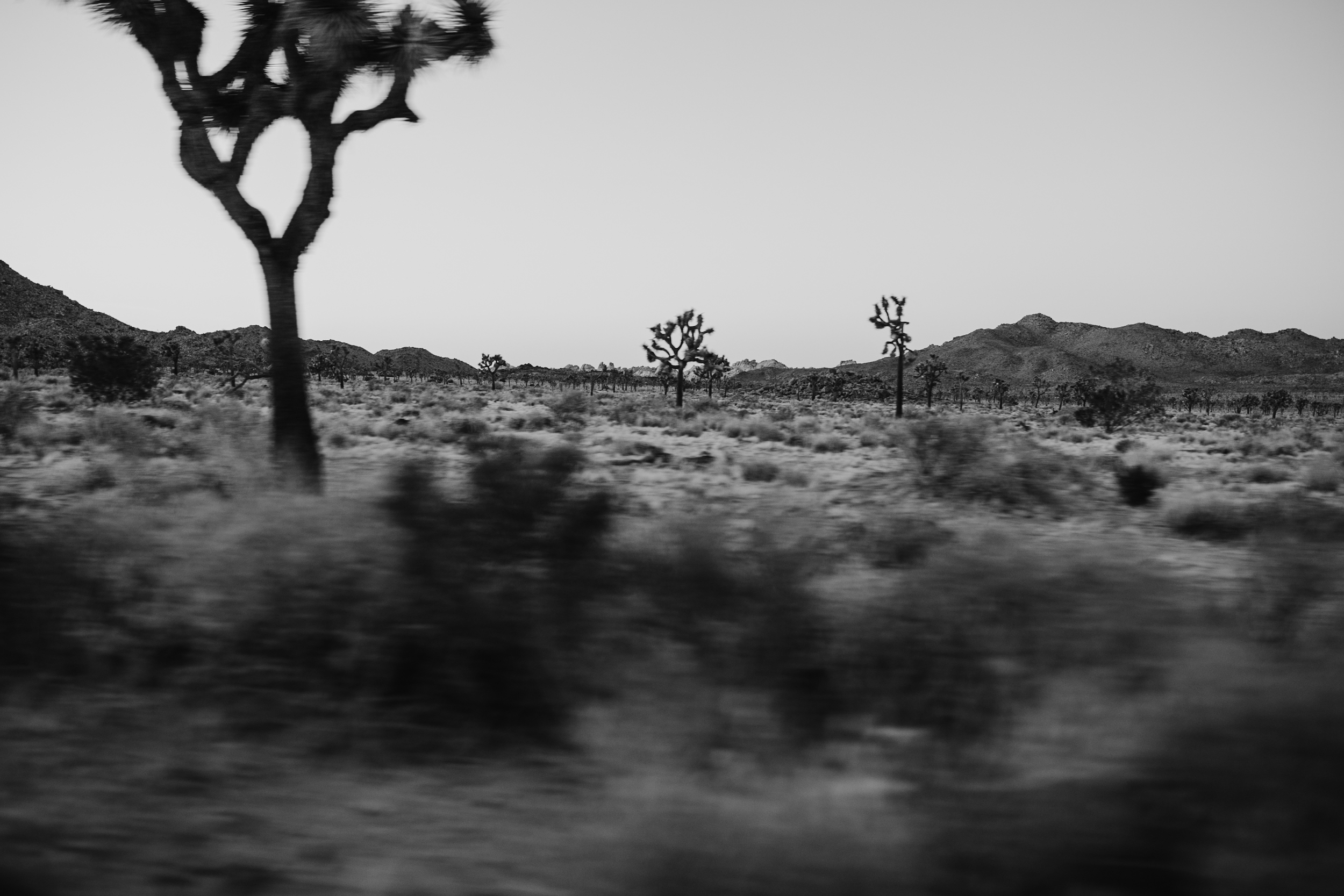 joshua-tree-elopement-photography355.jpg