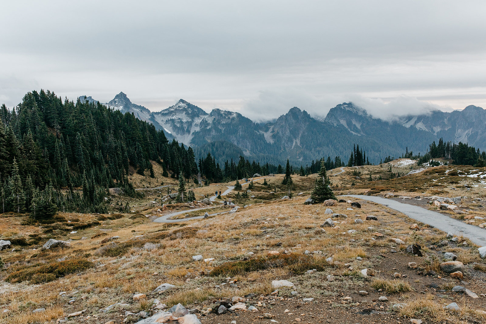 portland-engagement-wedding-photographers-mount-rainier-engagement252.jpg