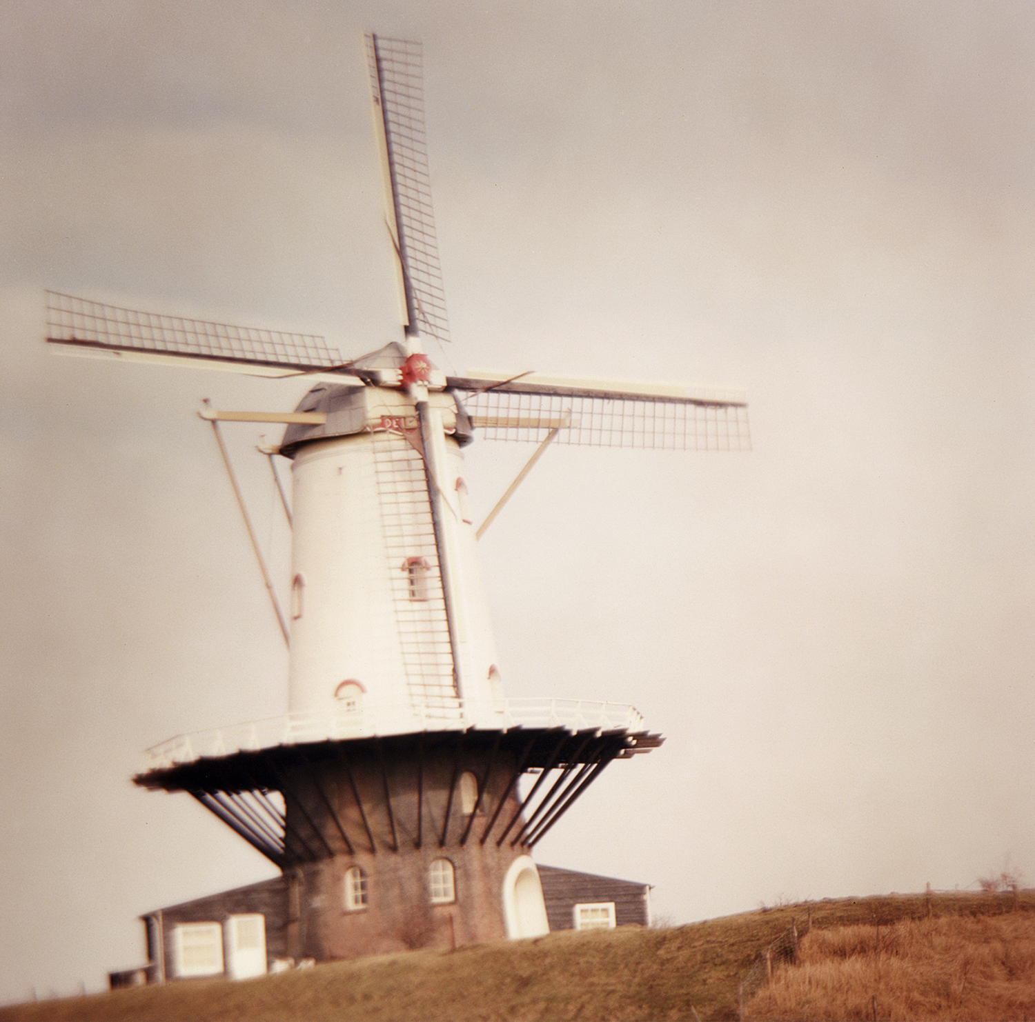 windmill-v2.jpg