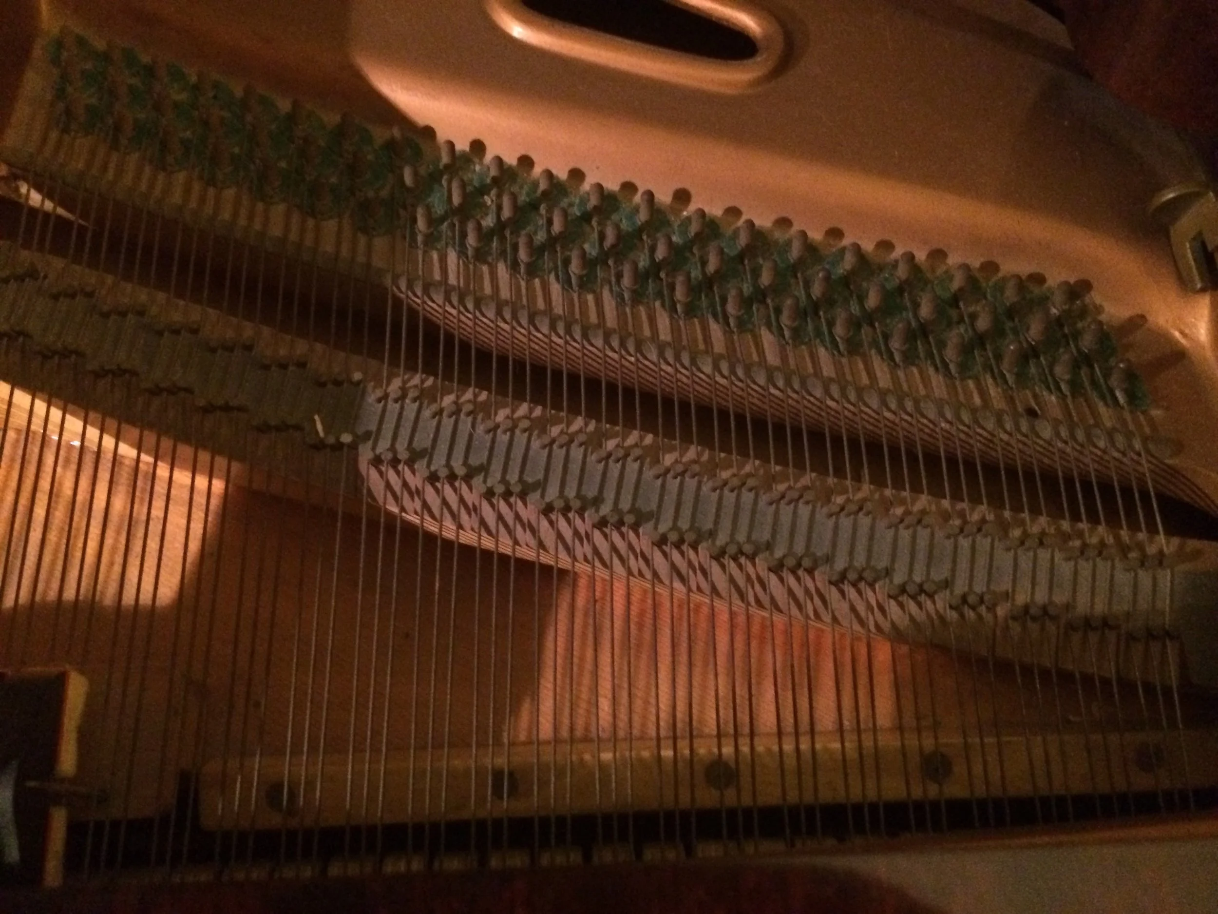 Rusted strings from 60 years of salt air in Brentwood!