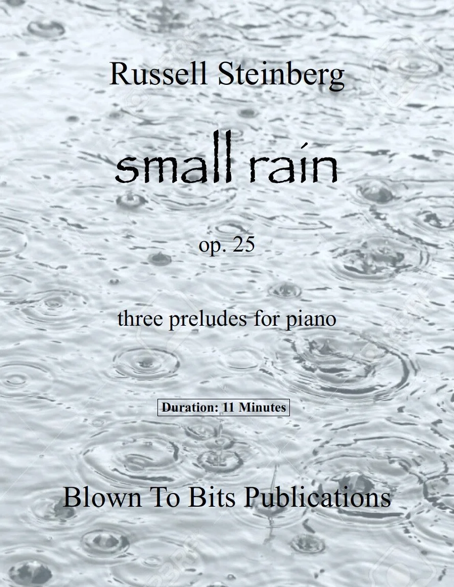 small rain  title page.jpg