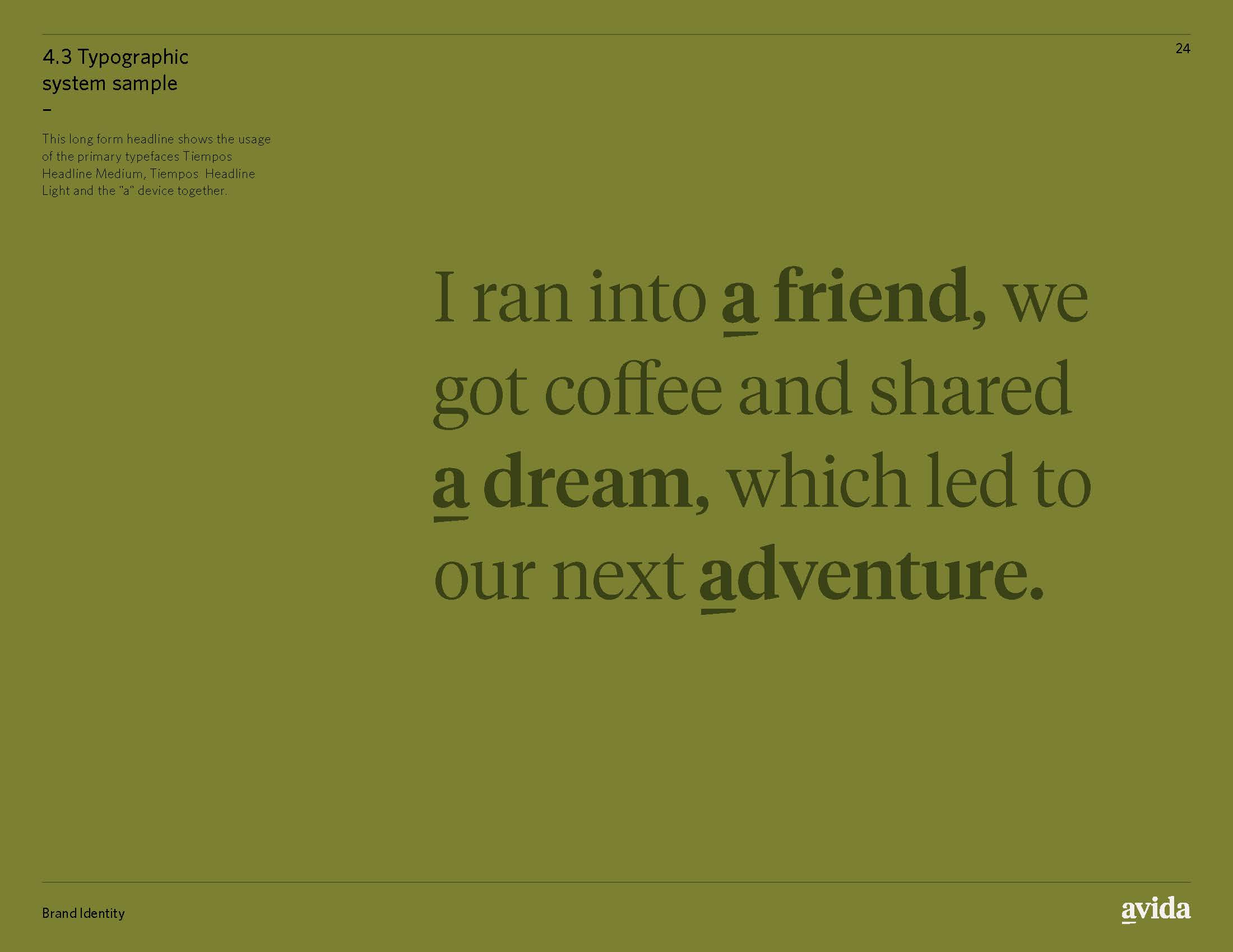Avida_ID_Styleguide_RGB_v1_Page_24.jpg