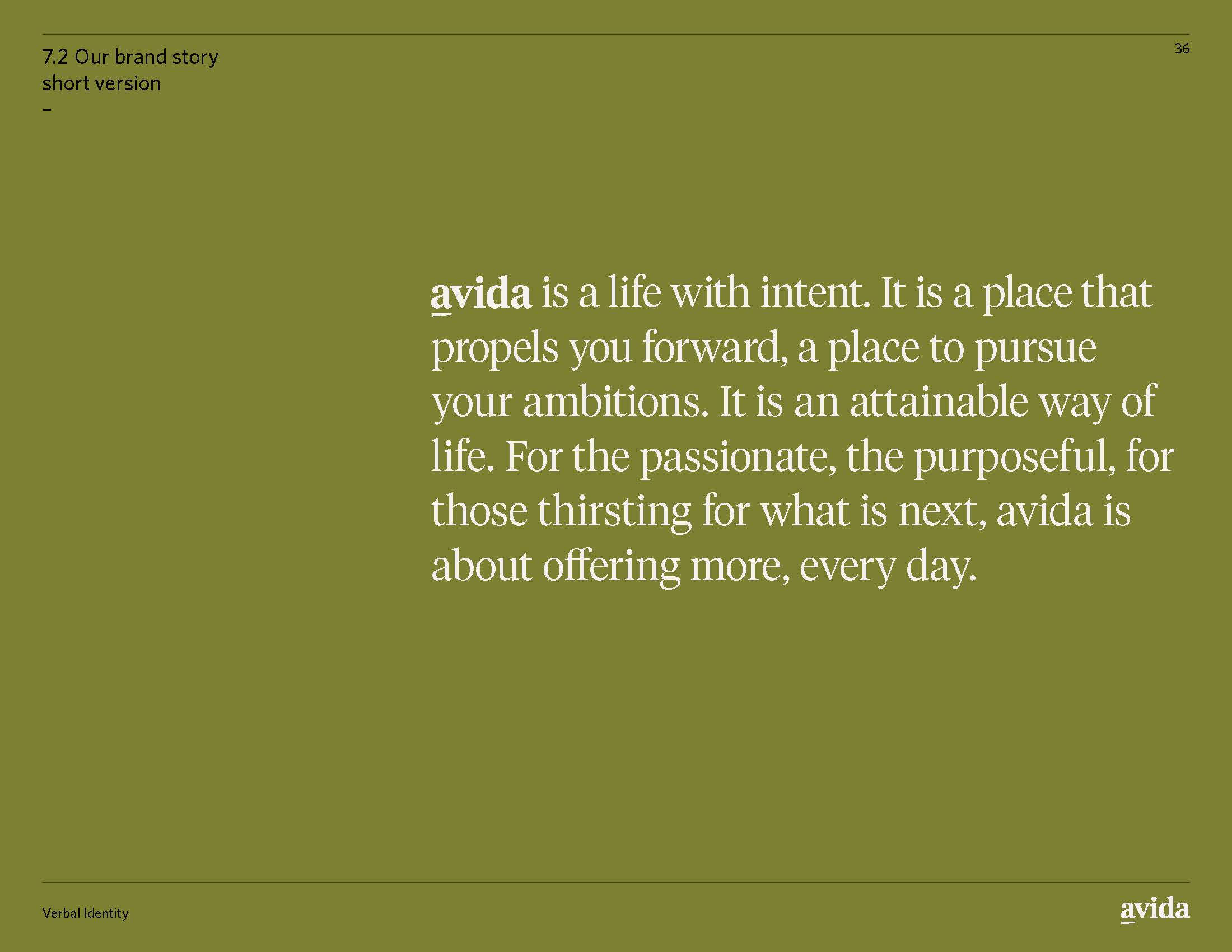 Avida_ID_Styleguide_RGB_v1_Page_36.jpg