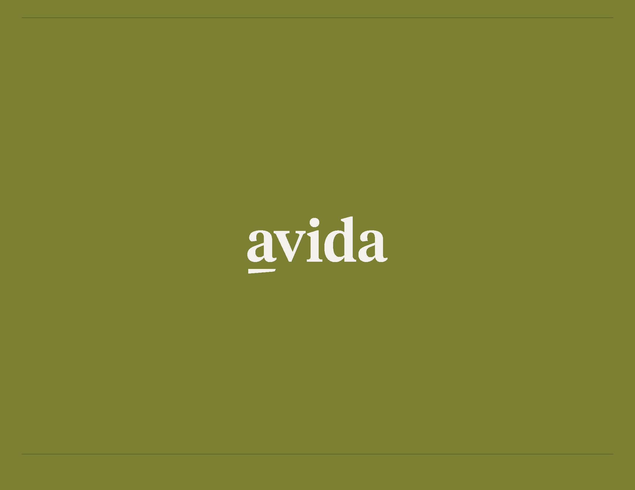 Avida_ID_Styleguide_RGB_v1_Page_53.jpg