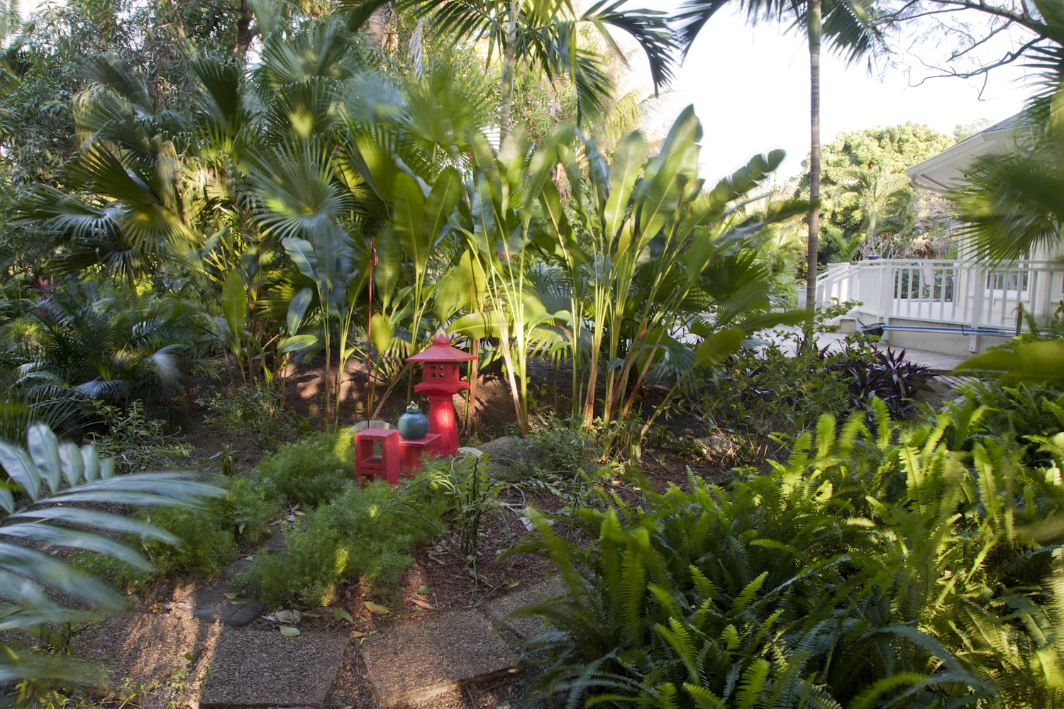 Tropical backyard pathway