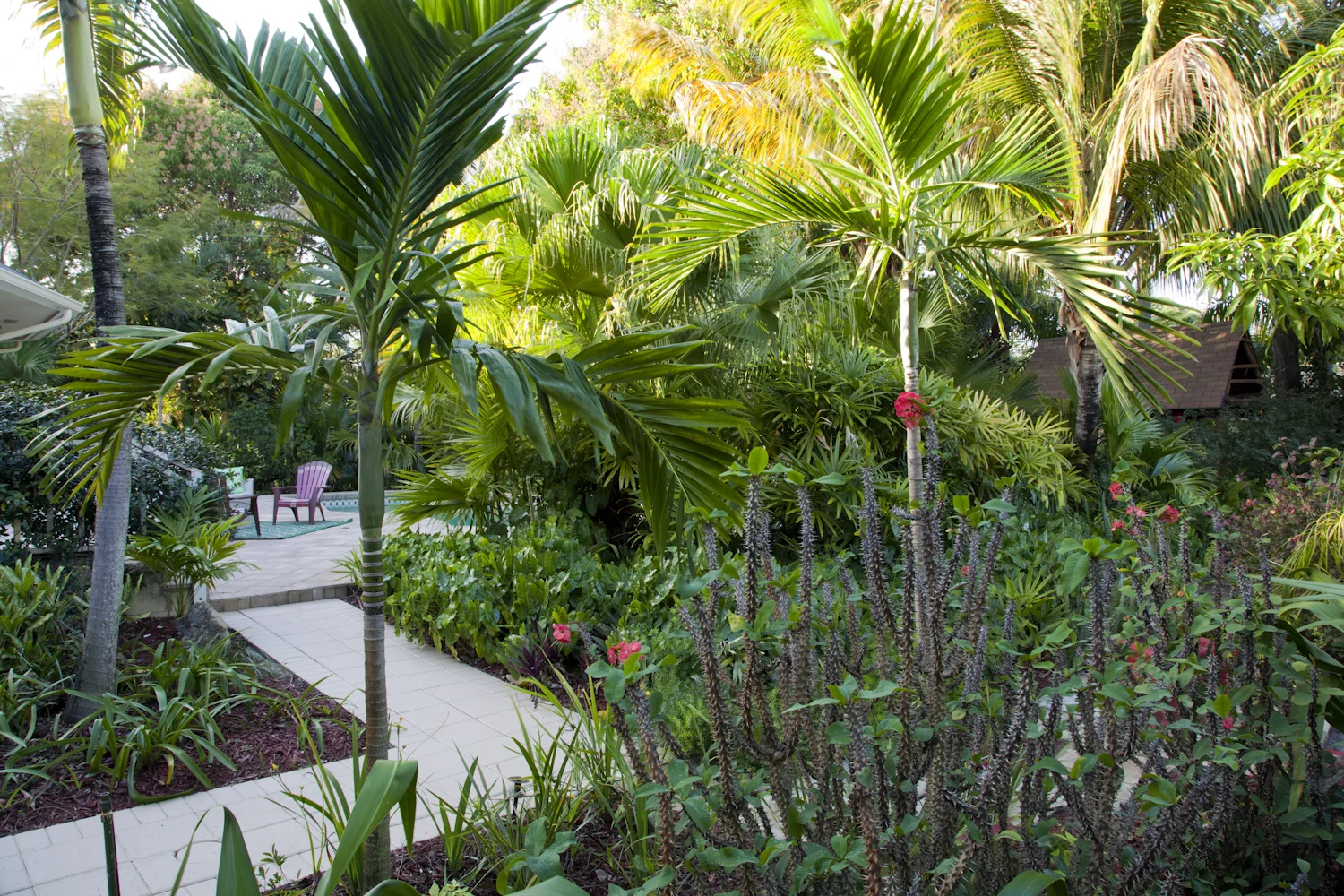 Tropical bliss in Lake Ida