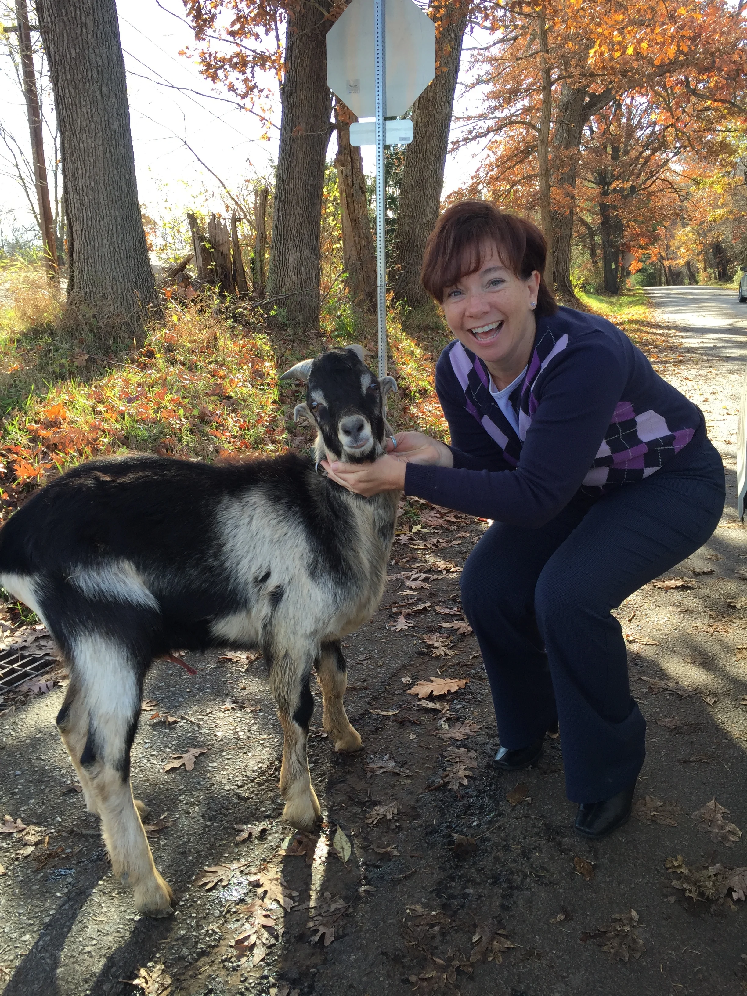 The (E)Scape Goat