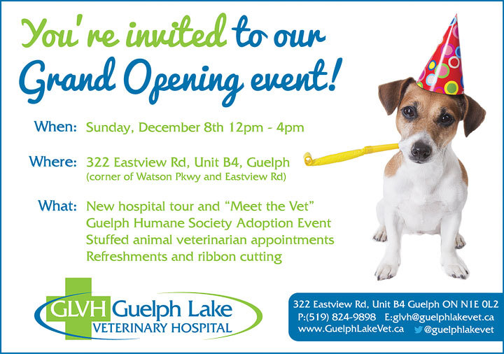Grand Opening invitation - Guelph Lake Veterinary Hospital — Guelph, ON  Veterinarian | Guelph Lake Veterinary Hospital