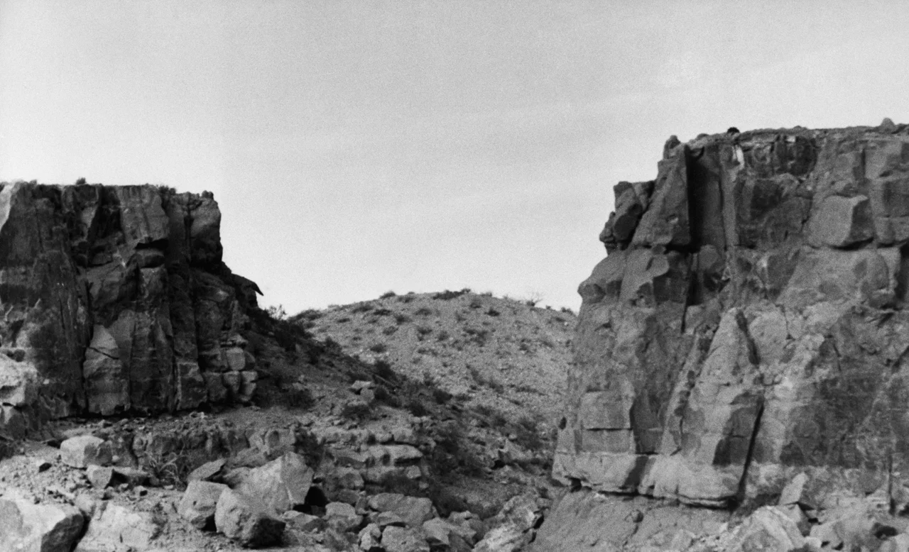 Untitled #76 (Picaco), 2009