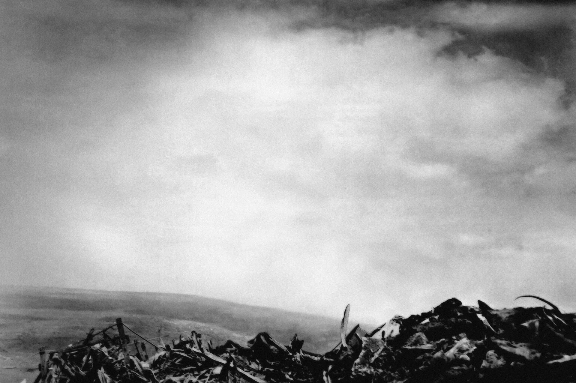 Untitled #25 (Iwo Jima),2006