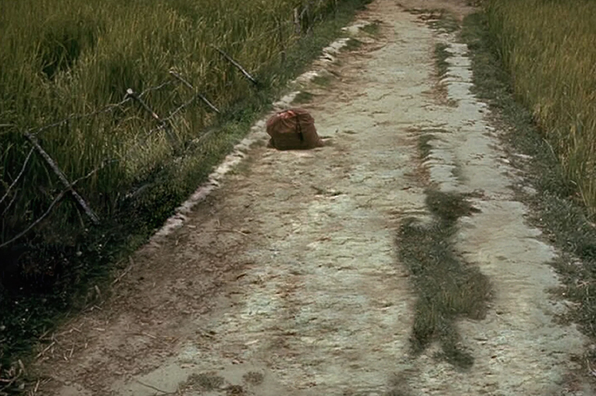 Untitled #19 (My Lai), 2006