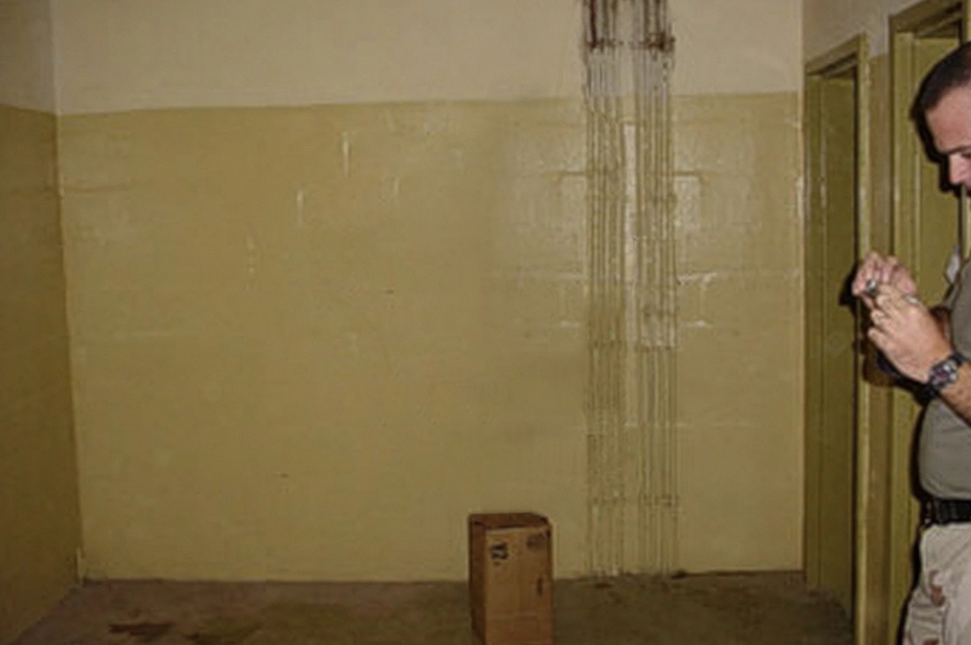Untitled #13 (AHSF), 2006