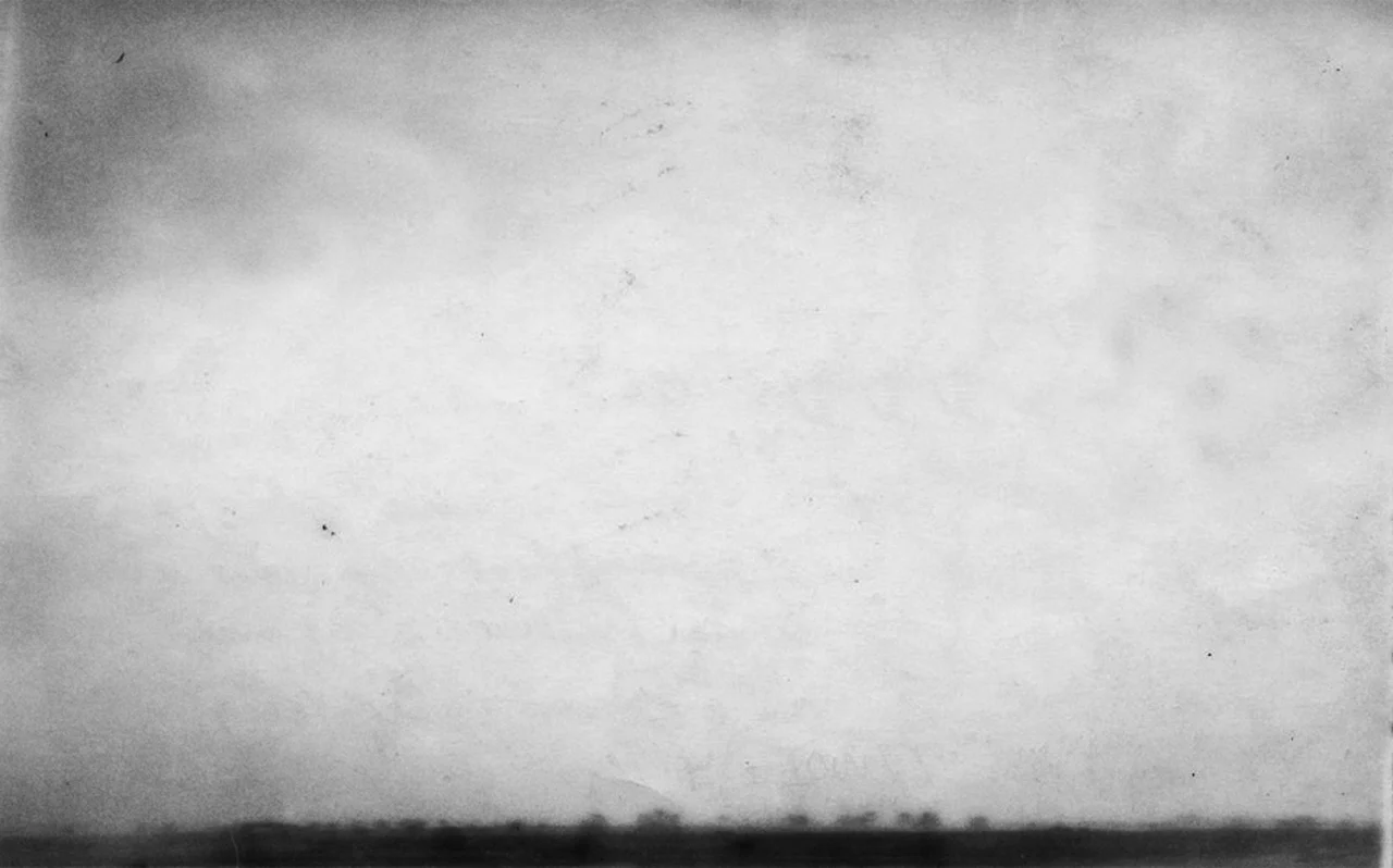 Untitled #61 (Taube), 2009